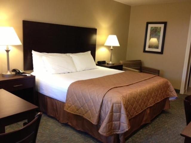 King Room photo 1