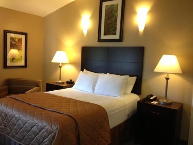 Queen Room - Disability Access photo 1