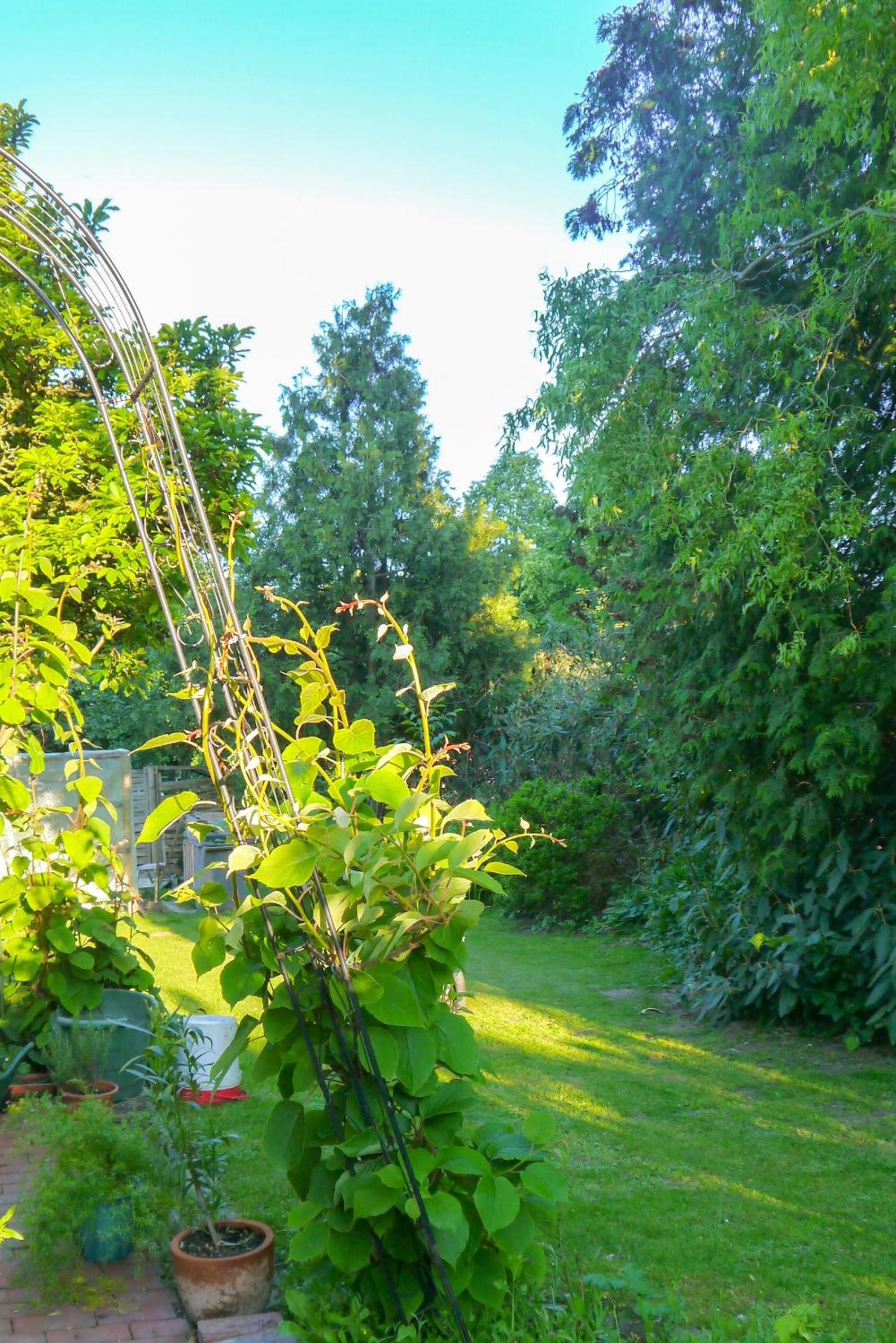 Two-Bedroom Deluxe Apartment with Garden View photo 2