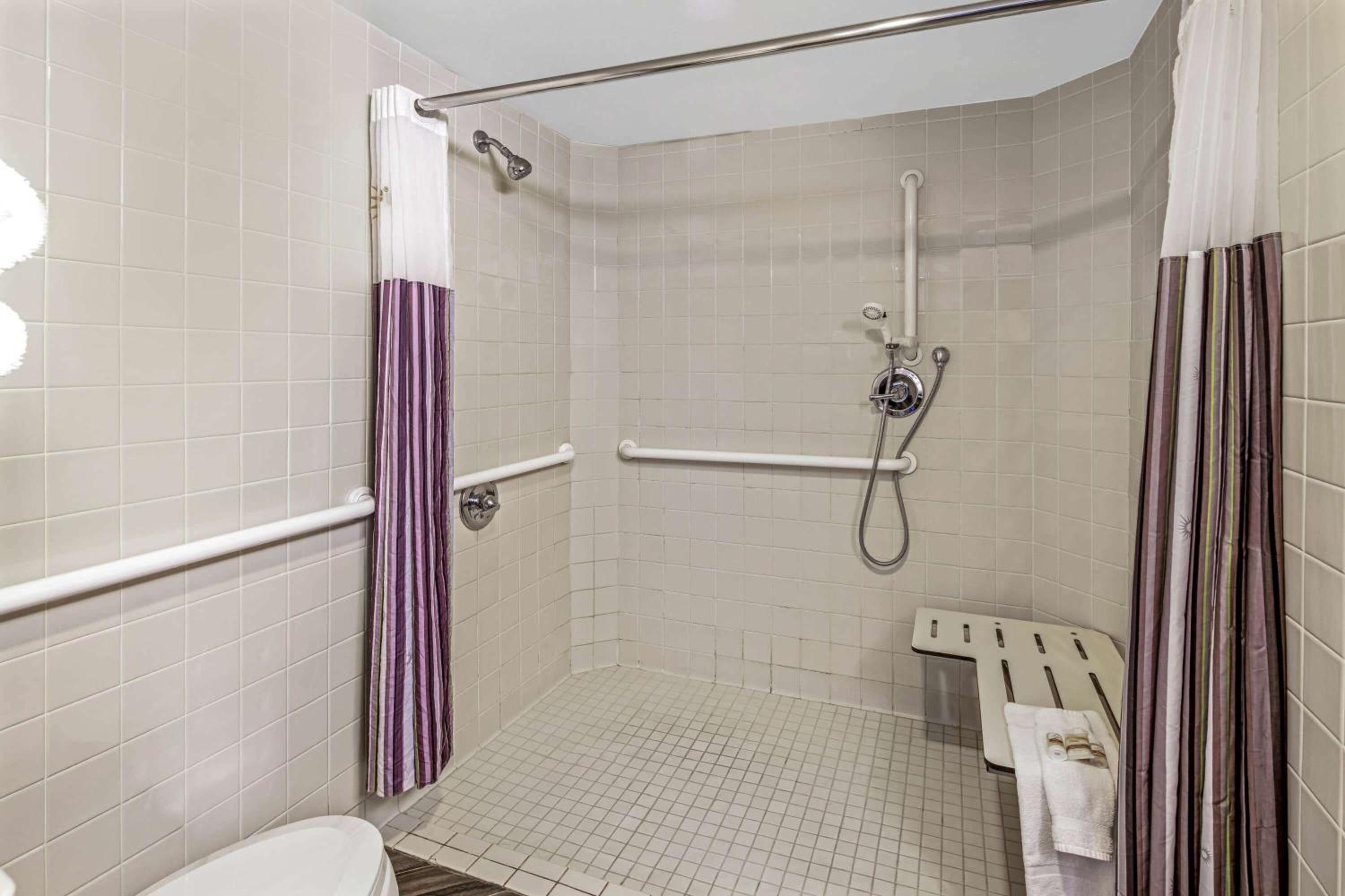 1 King Bed Mobility Accessible Suite, Roll-In Shower, Non-Smoking - Photo 3