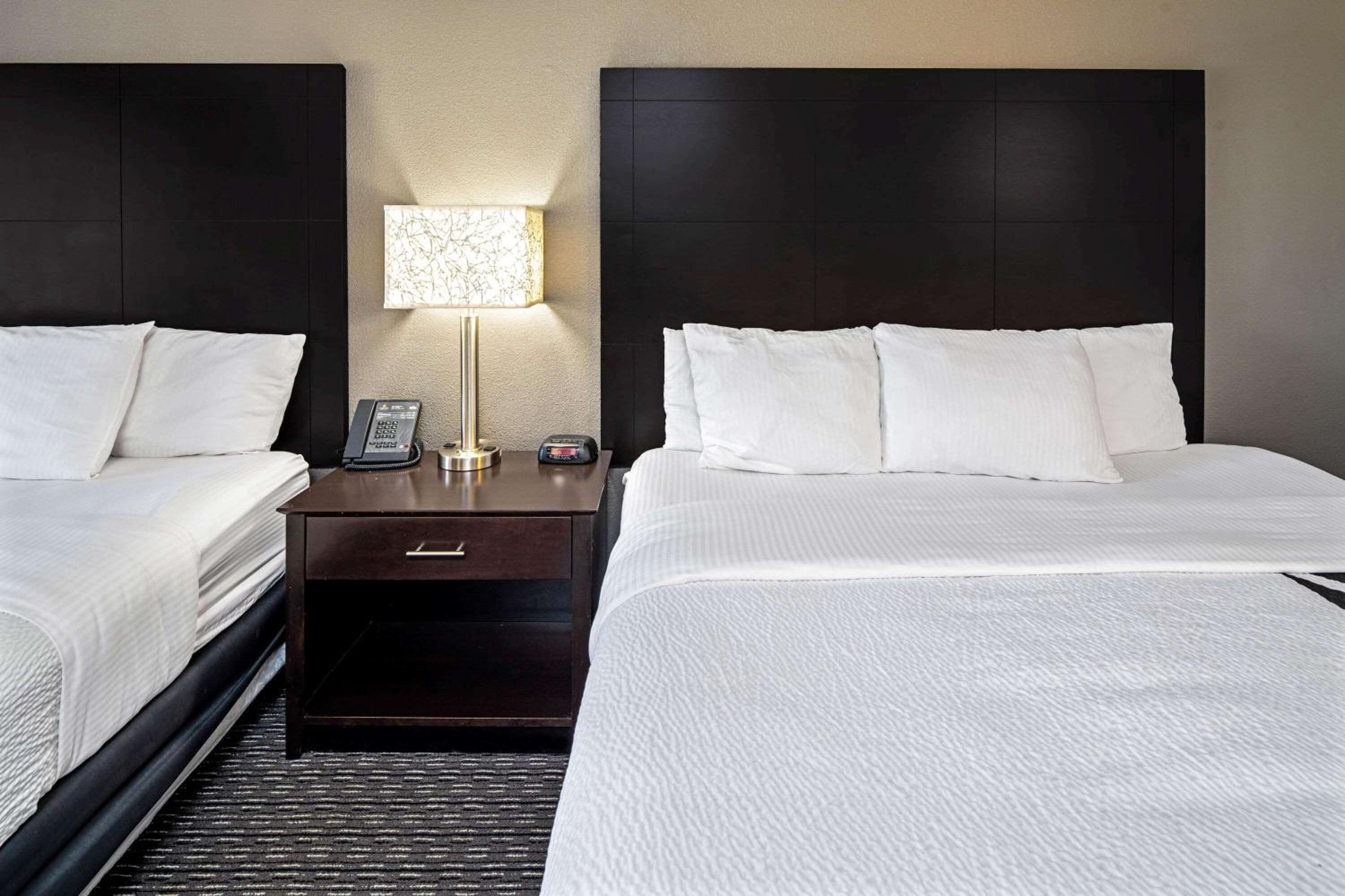 2 Full Beds, Suite - Photo 4
