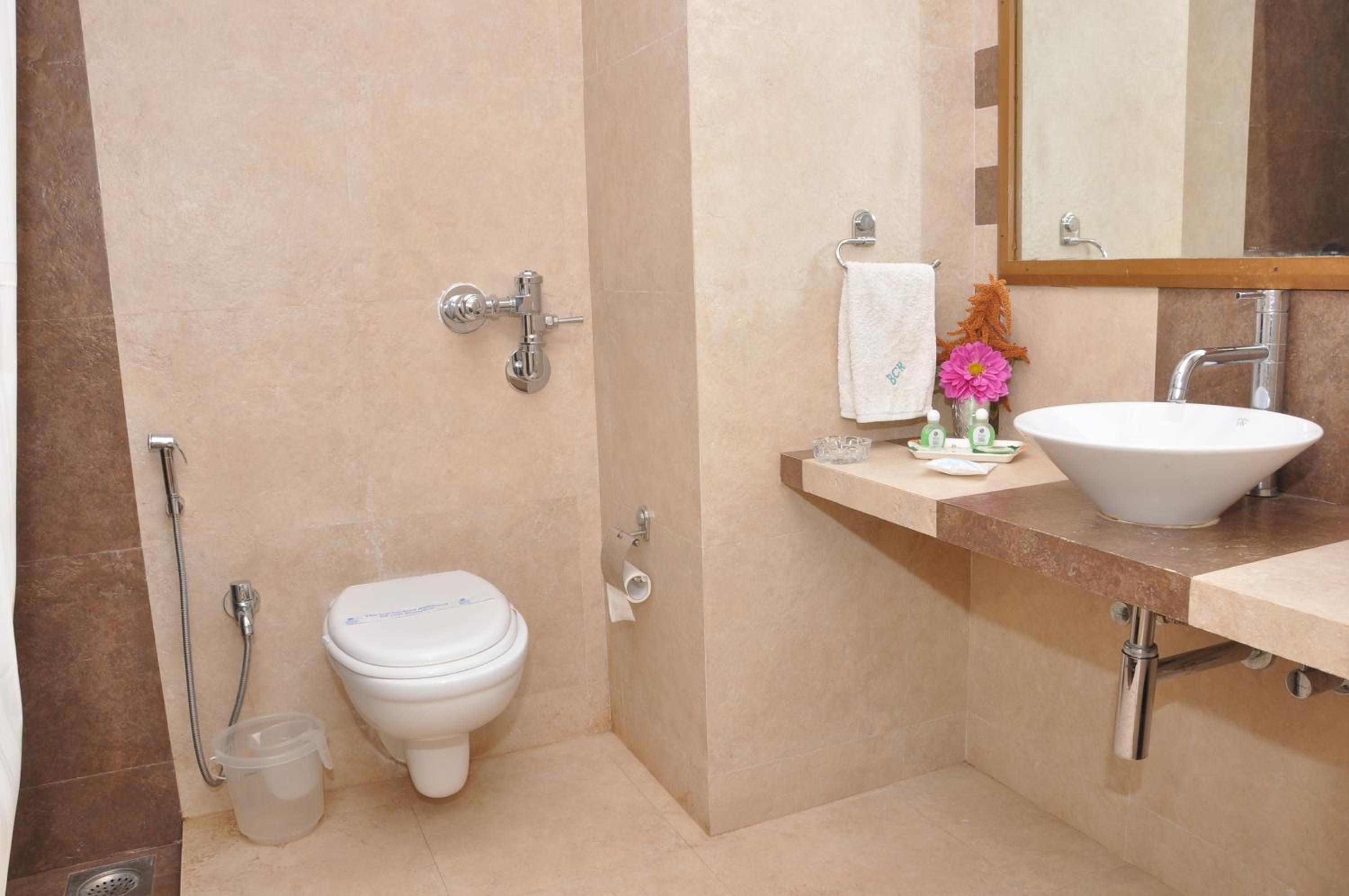 Deluxe Room photo 3