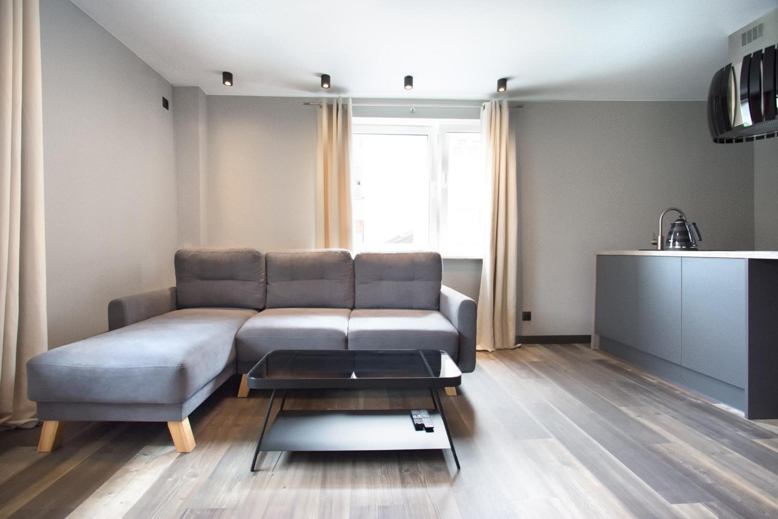 One-Bedroom Apartment photo 3