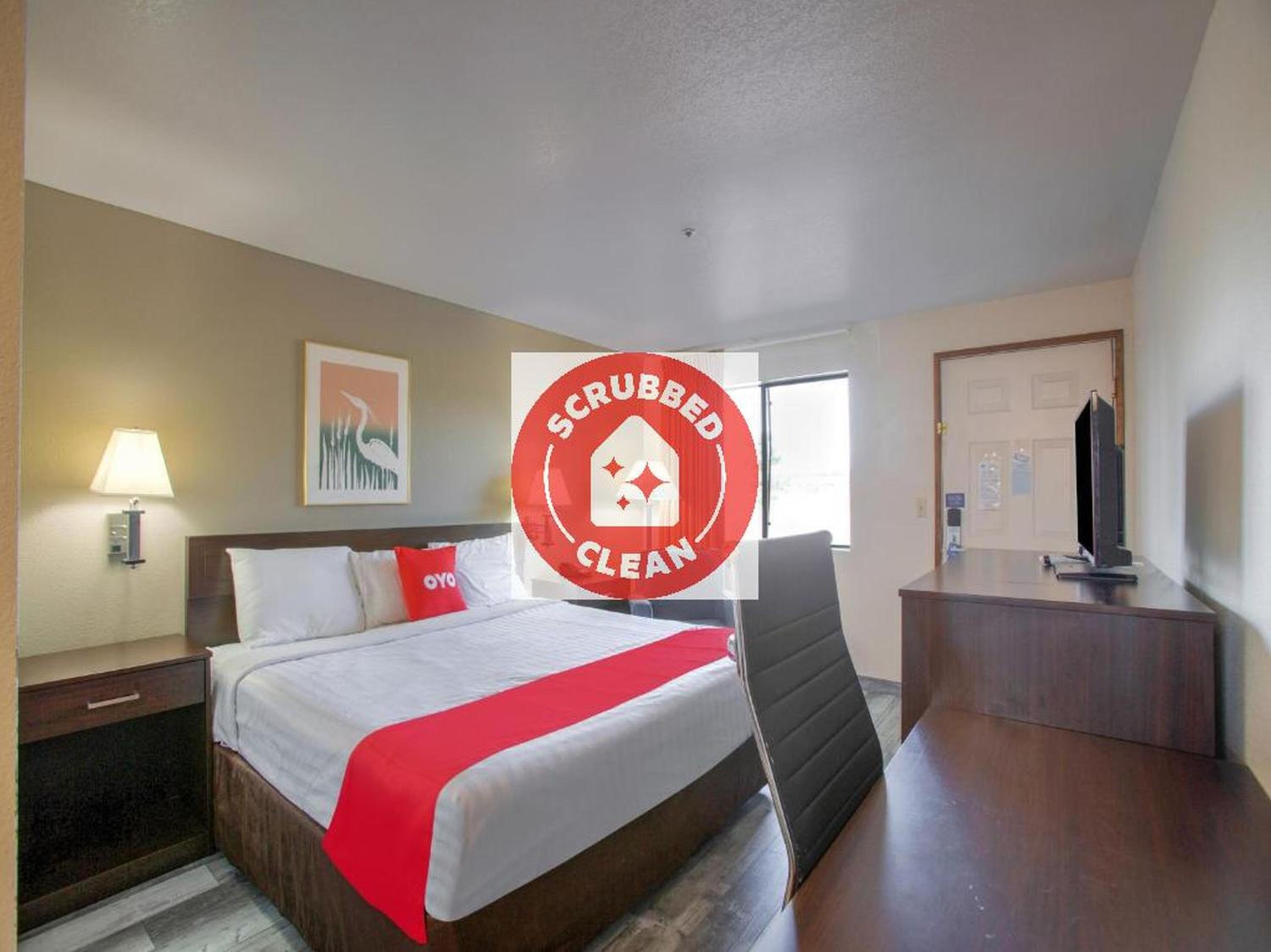 King Room - Photo 10