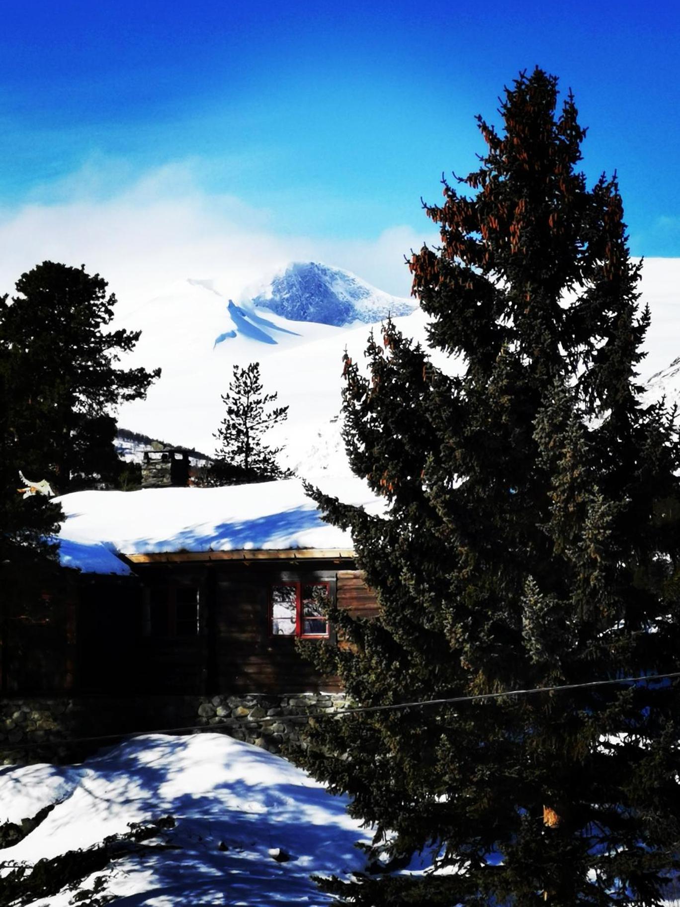 Chalet photo 1