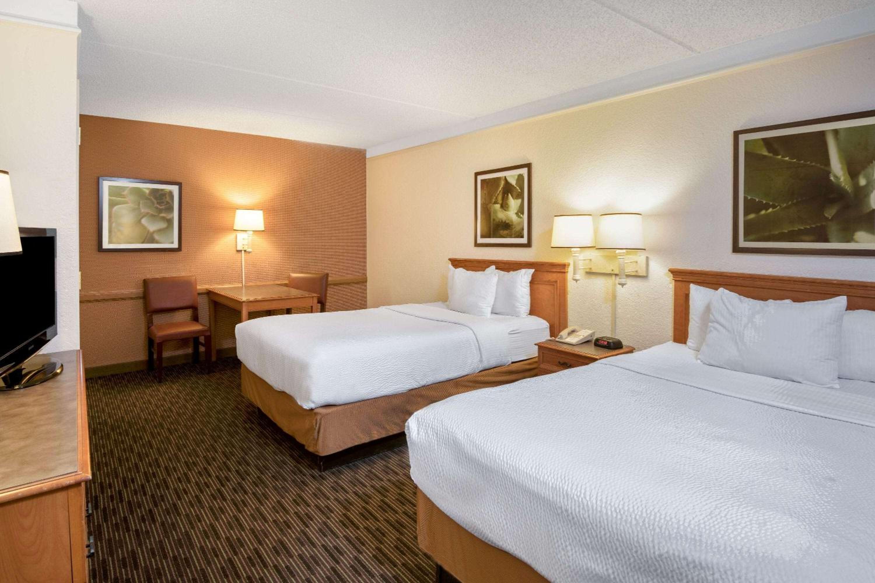 Standard Room with Two Double Beds - Photo 6