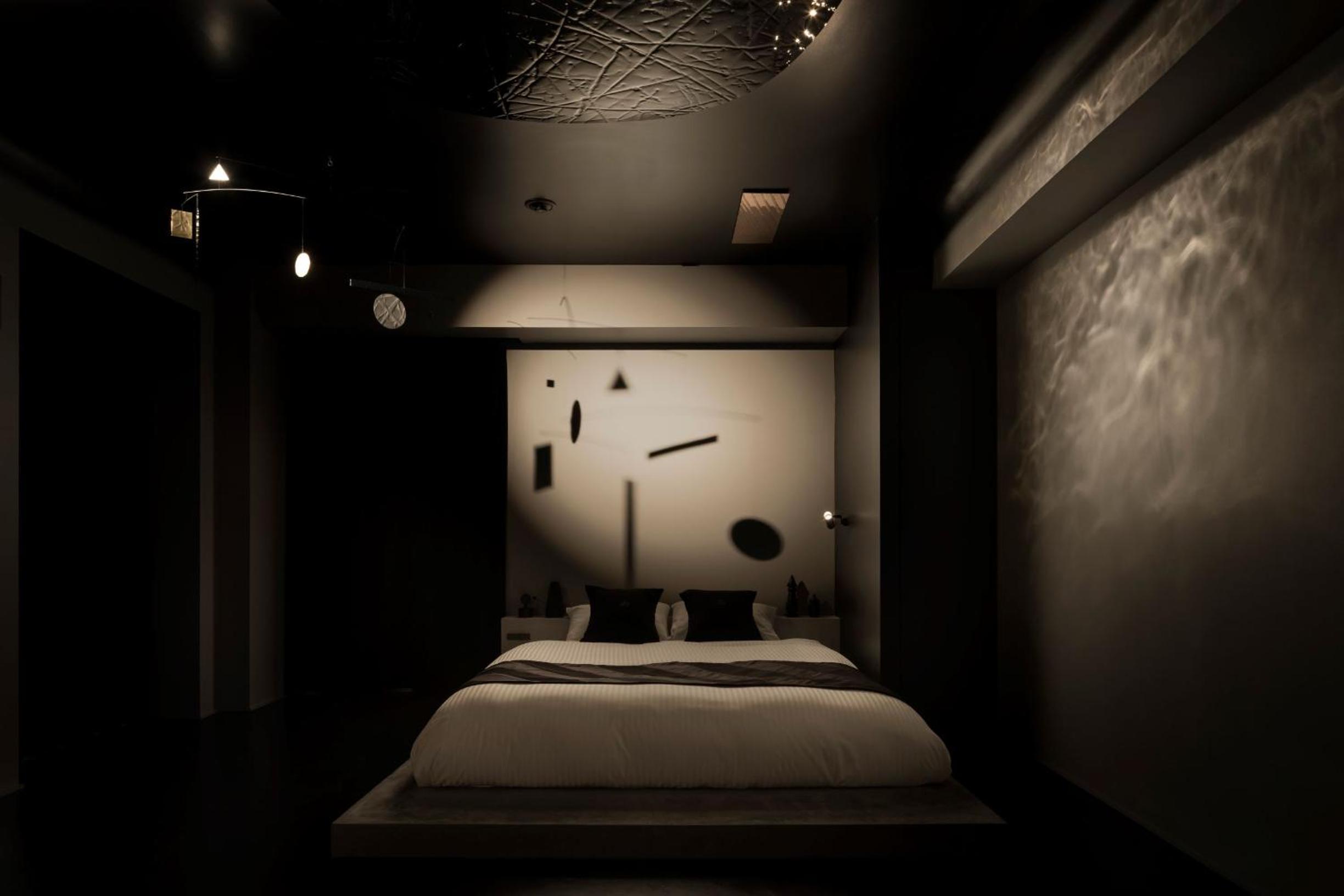 Art of Shadows “ASITA_ROOM REM sleep garden of Mr. X” by Sai