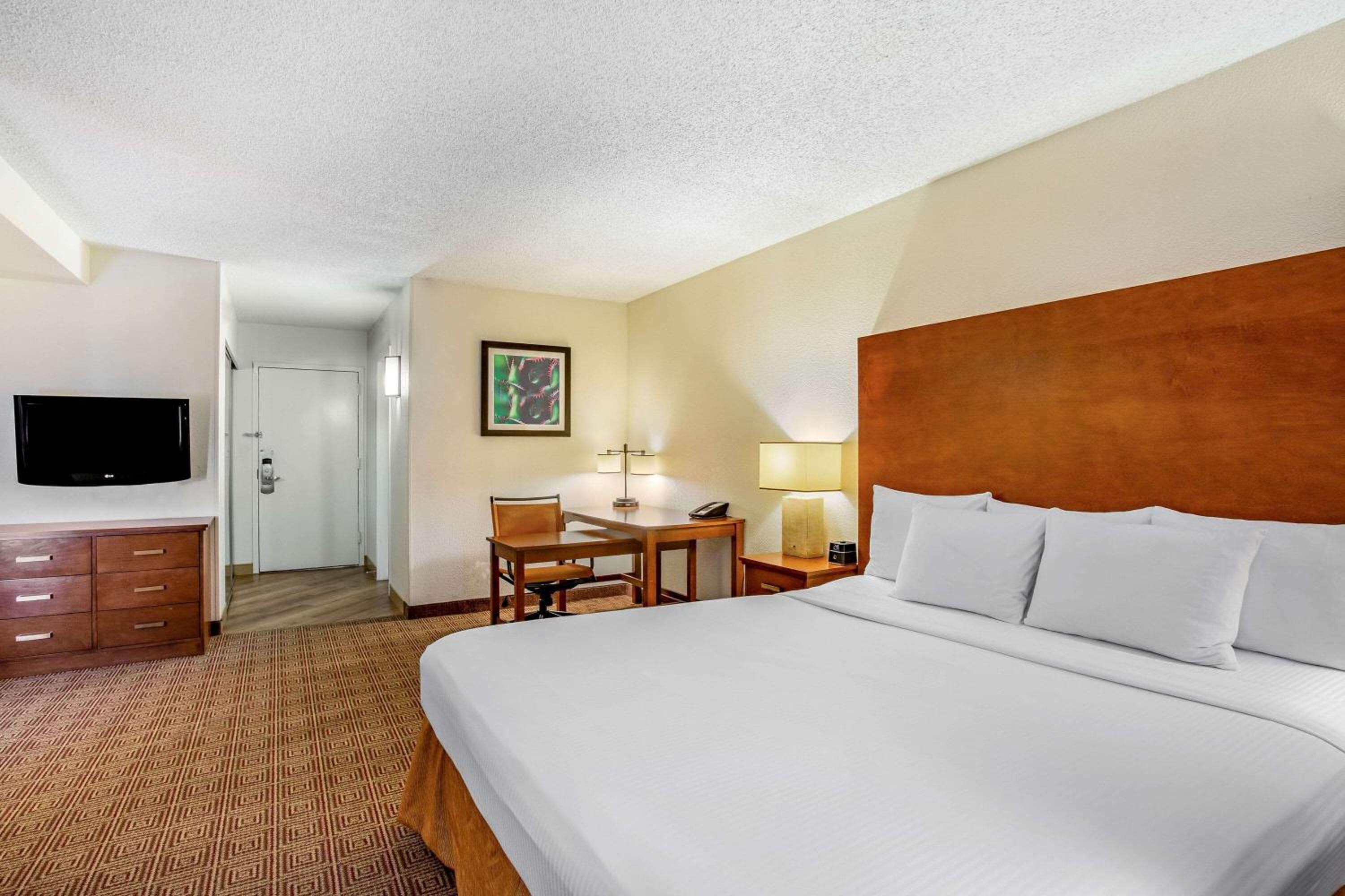 King Suite - Photo 9