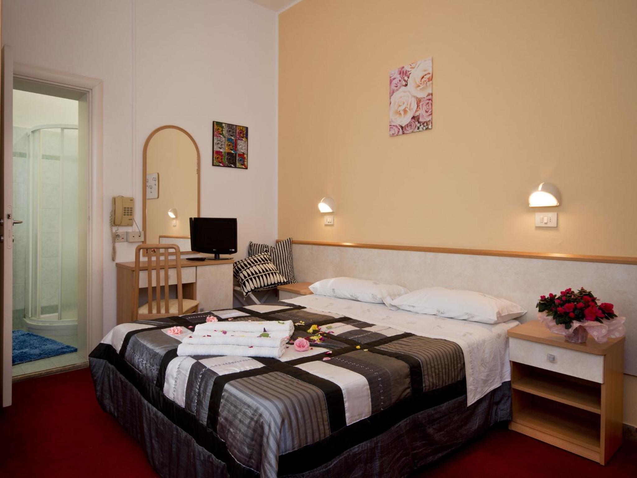 Double or Twin Room photo 3