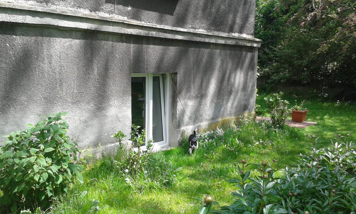 Large Double Room - Photo 41