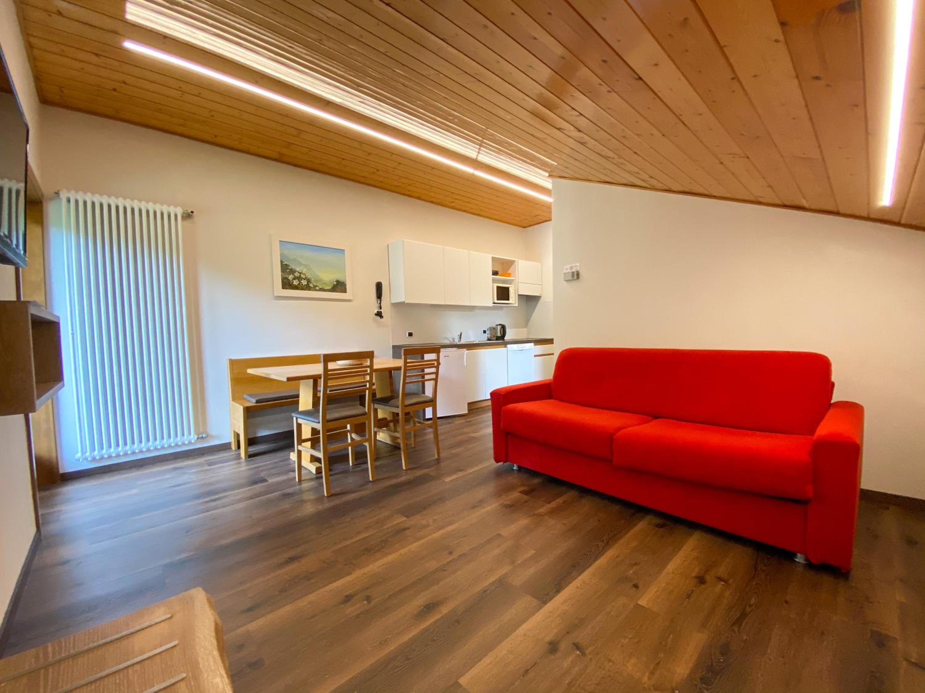 One-Bedroom Apartment with Mountain View