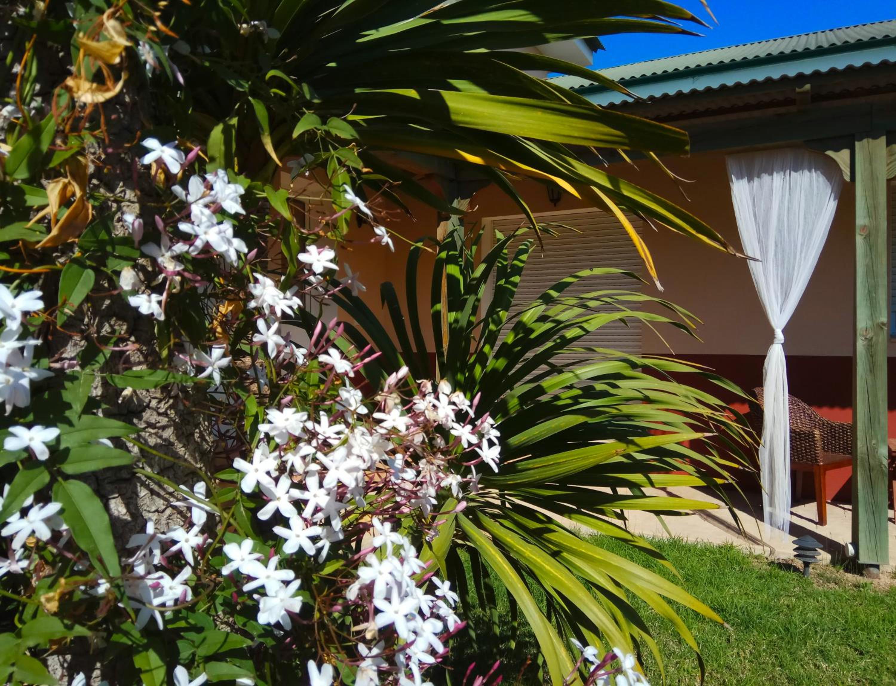 Apartment with Garden View photo 2