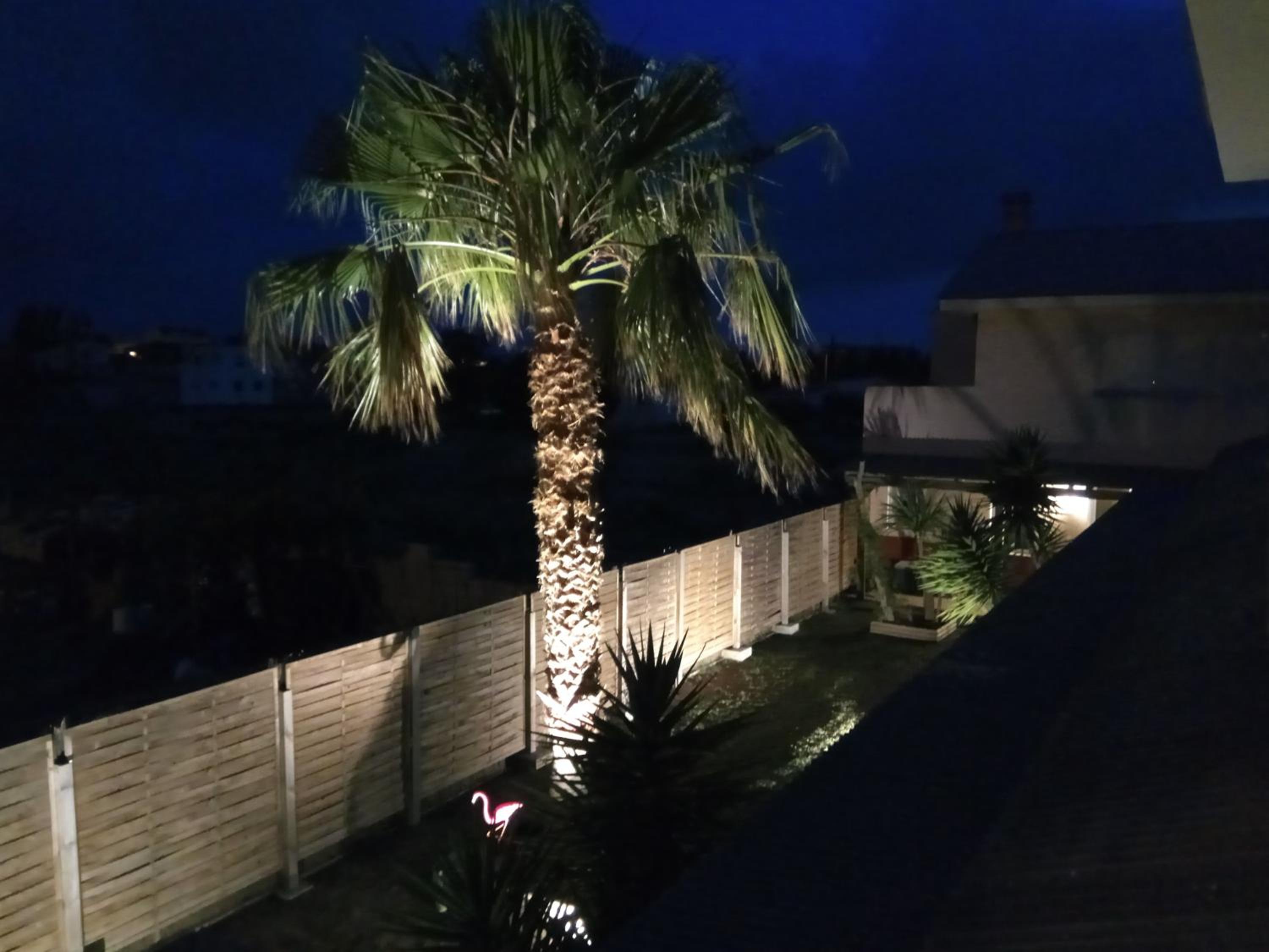Apartment with Garden View photo 3