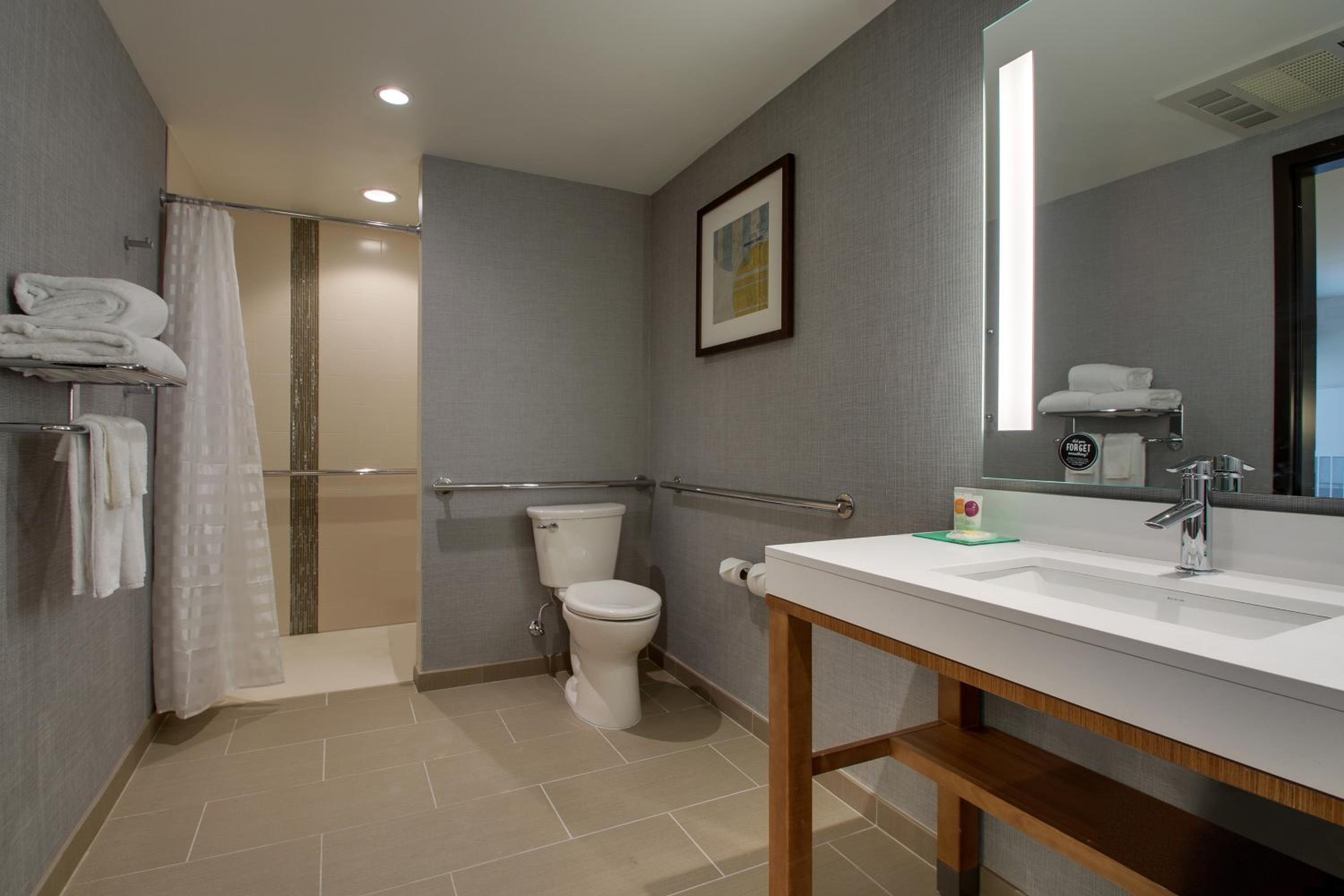 King Room with Sofa Bed and Roll-In Shower - Disability Access photo 2