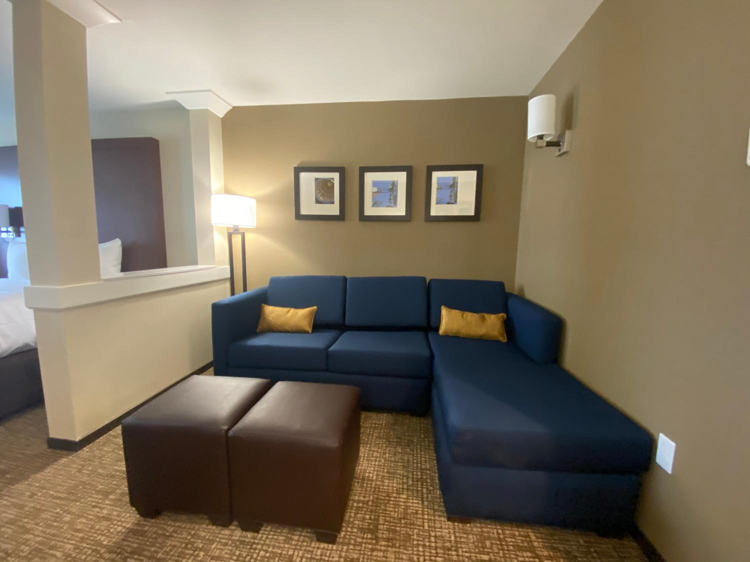 King Suite and Sofa Bed - Non-Smoking - Photo 2