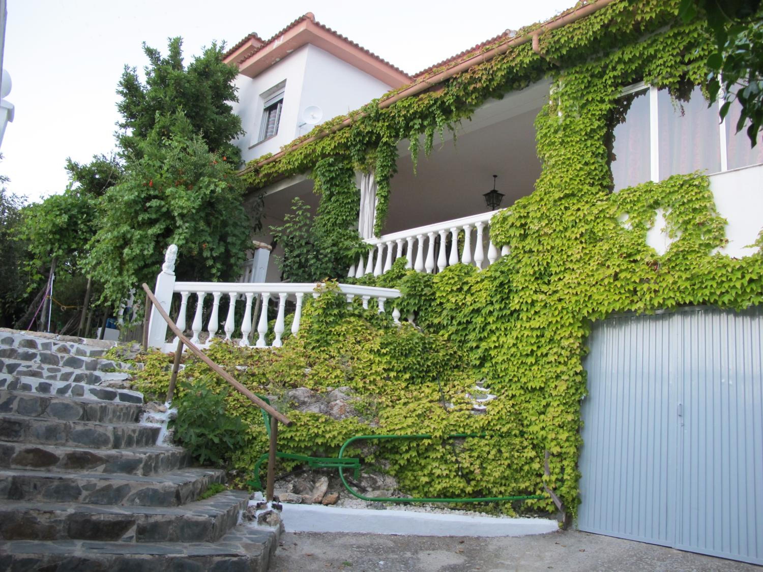 Five-Bedroom House photo 3