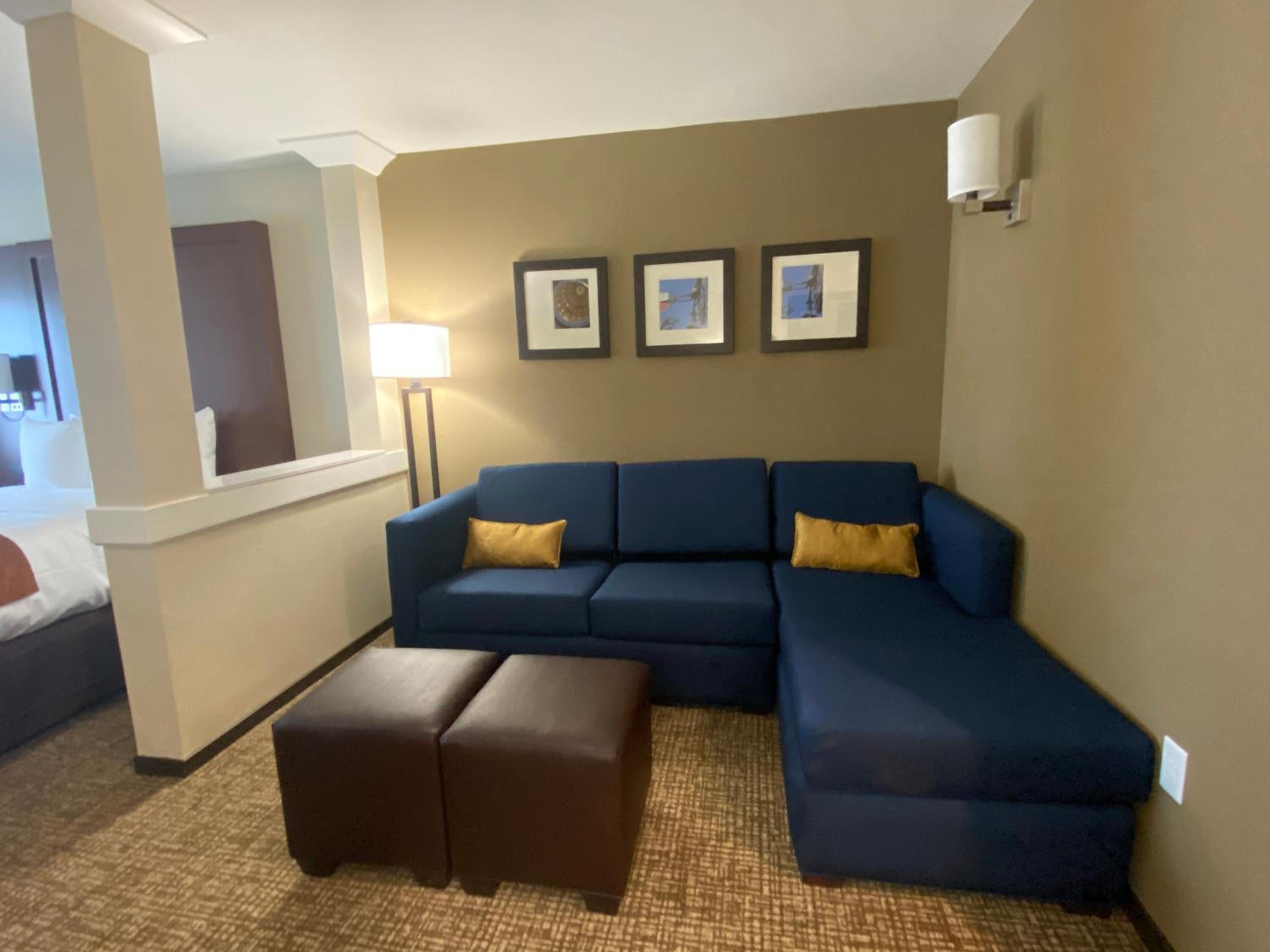 King Suite and Sofa Bed - Non-Smoking - Photo 4