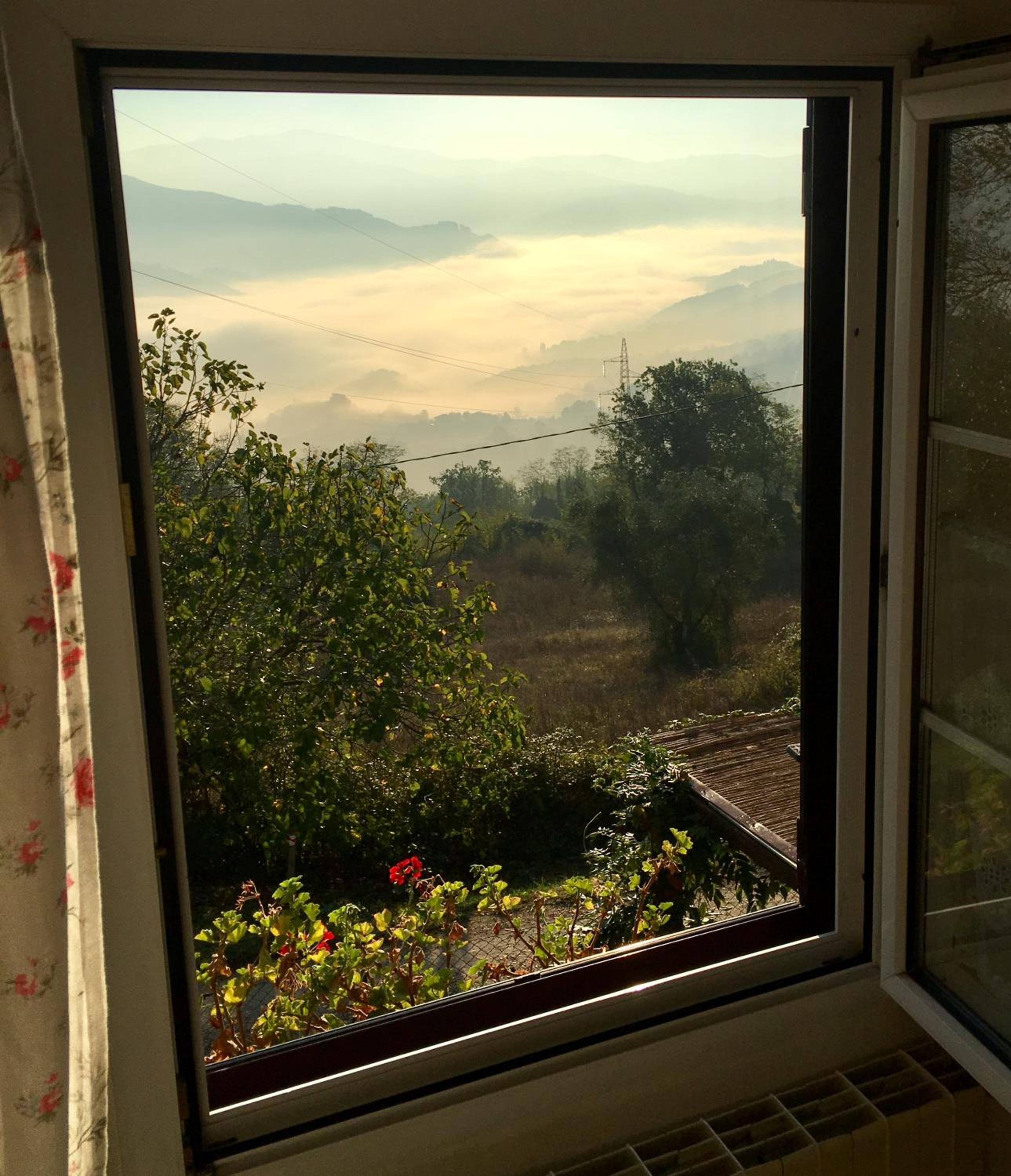 King Room with Mountain View - Photo 10