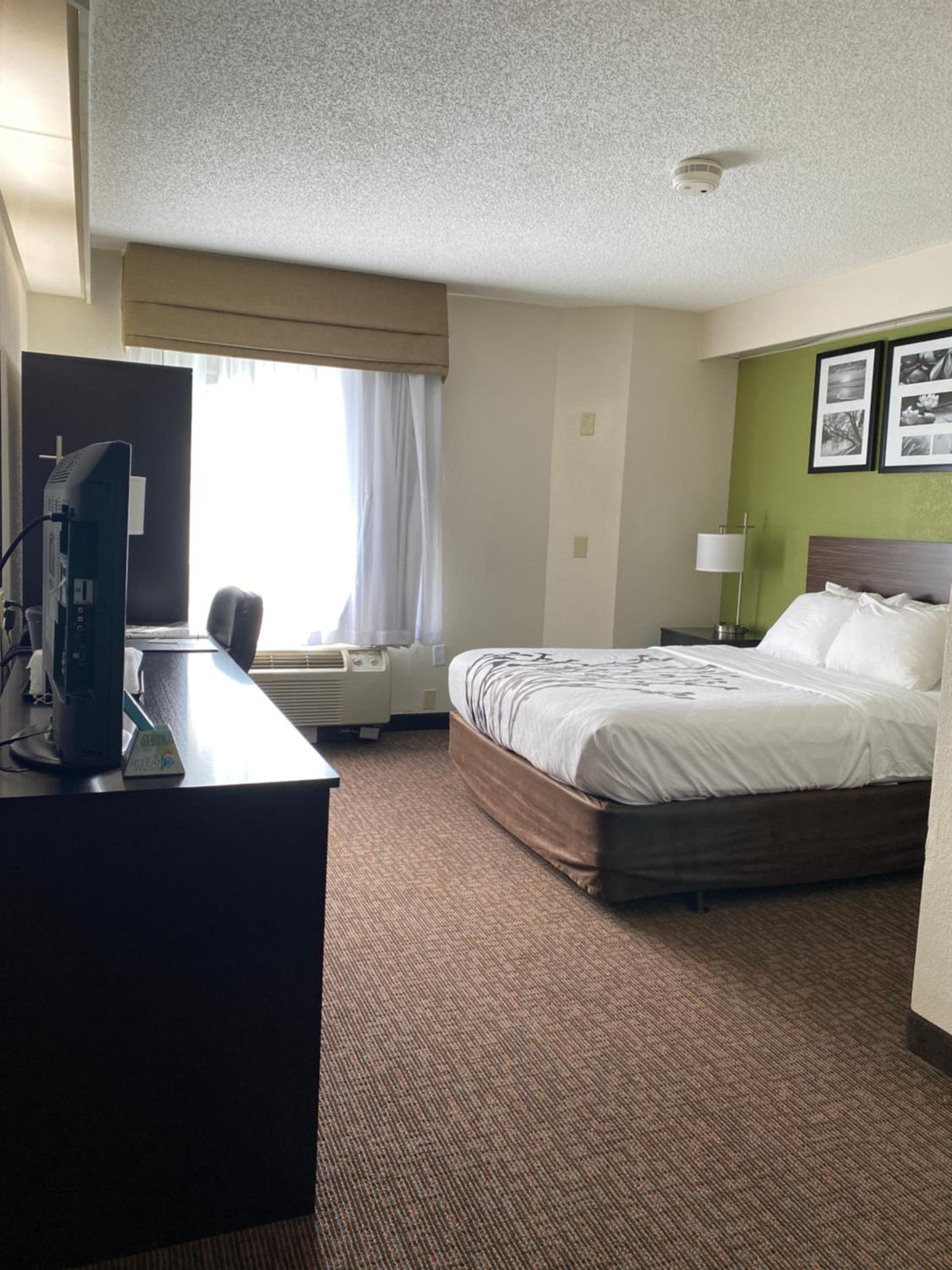 Queen Room - Accessible/Non-Smoking - Photo 1