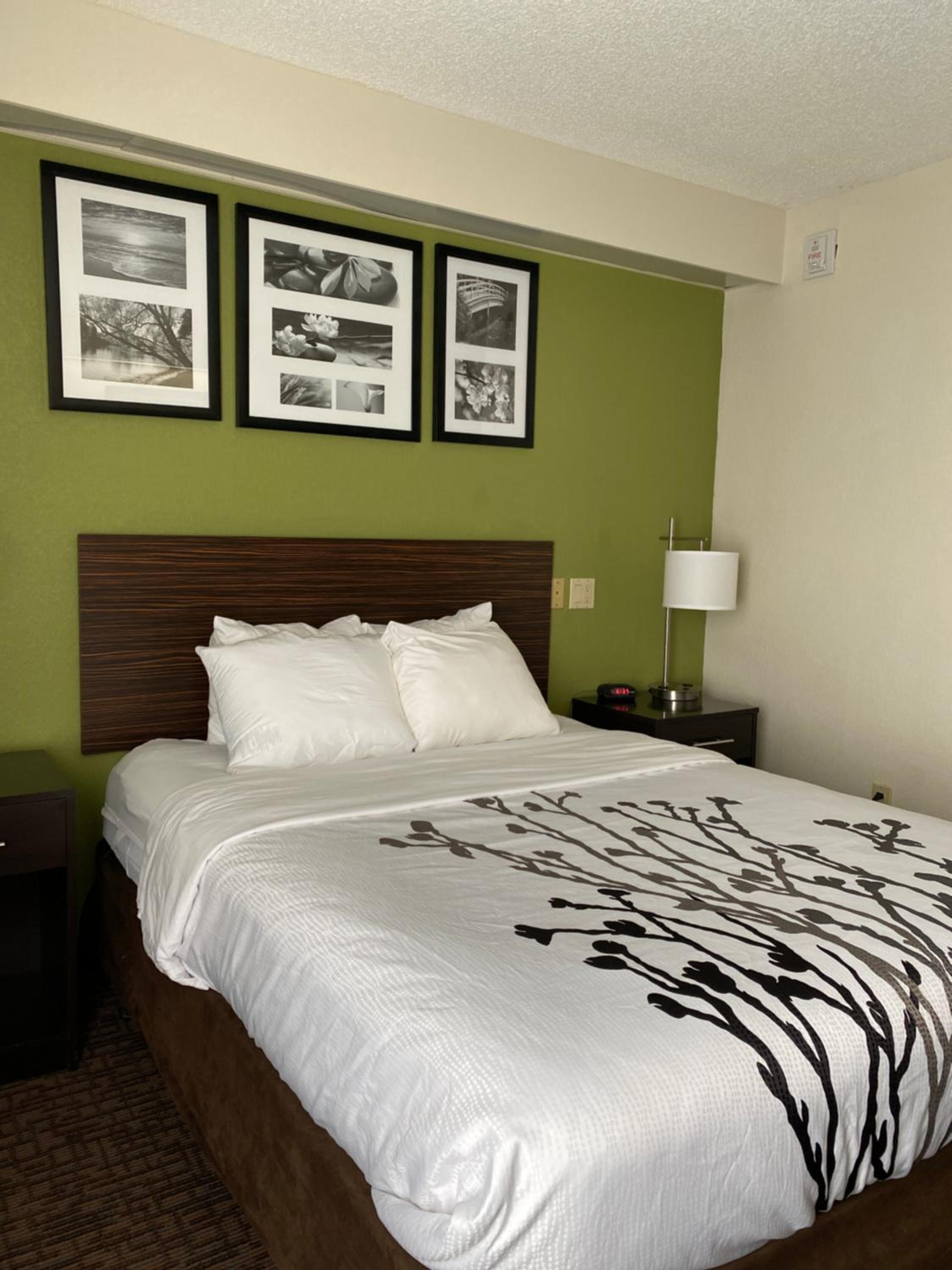 Queen Room - Accessible/Non-Smoking - Photo 4