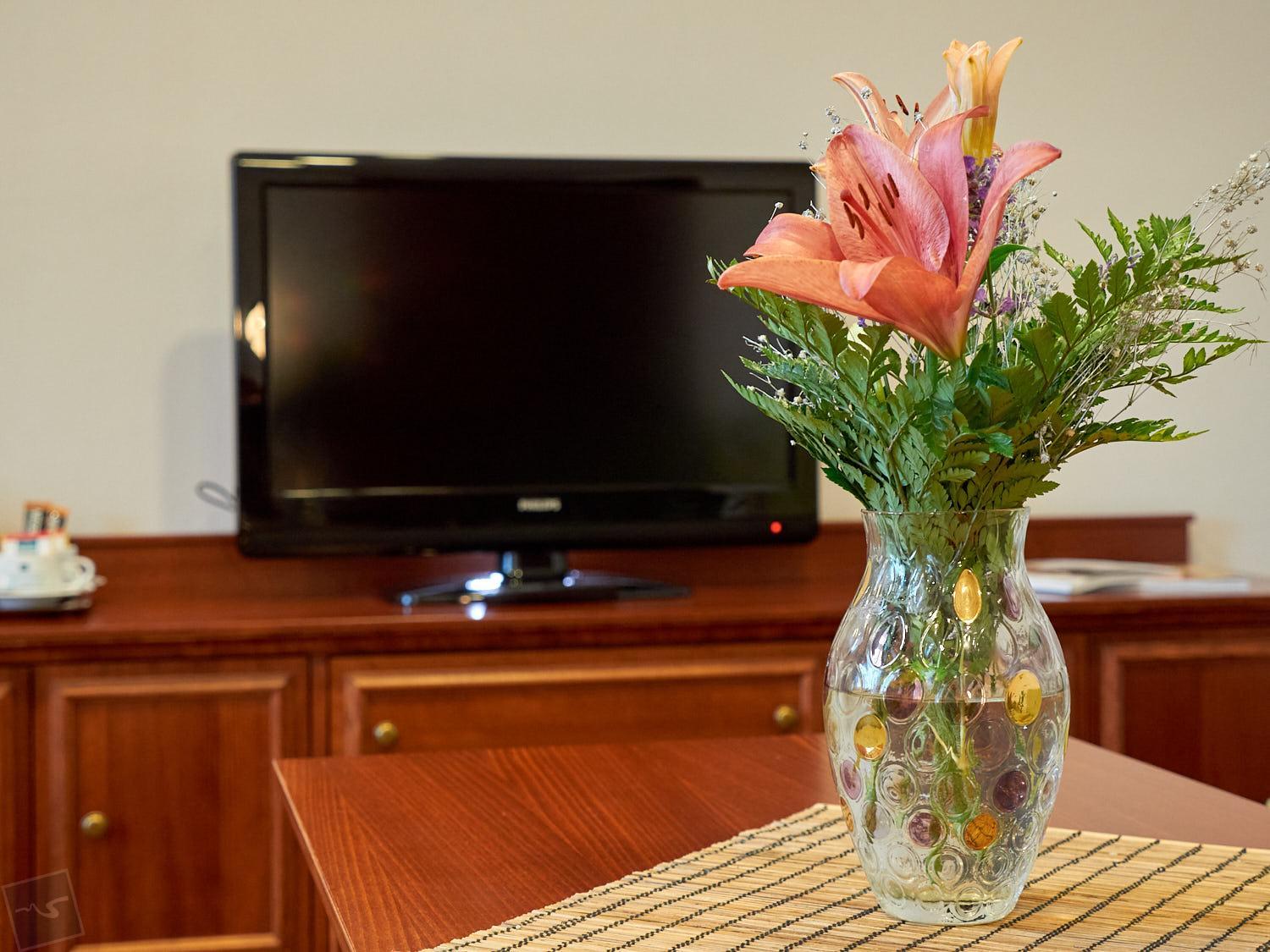 Apartment with Garden View - Photo 5