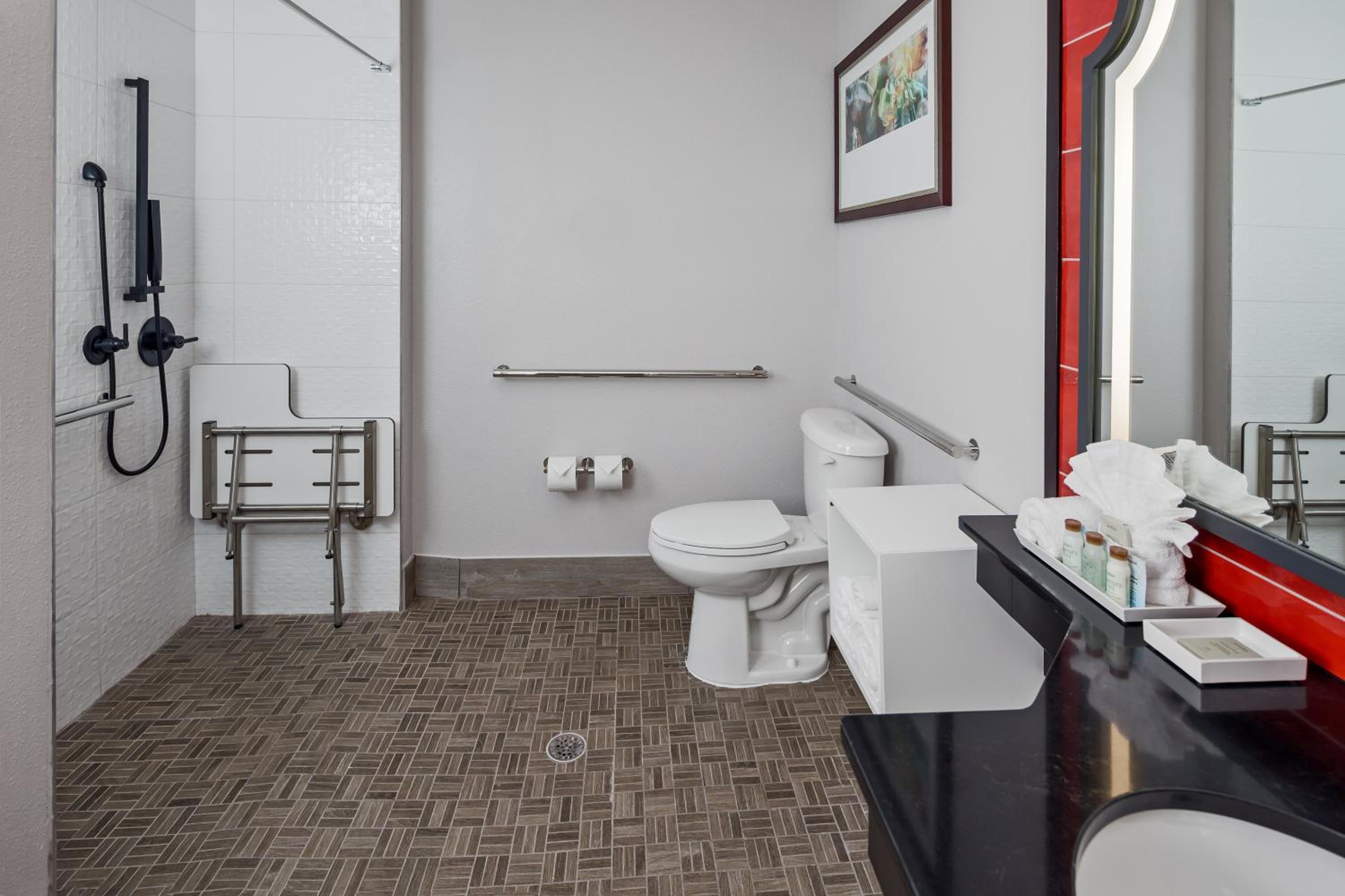 Standard Queen Room with Mobility Accessible Roll-In Shower - Photo 6