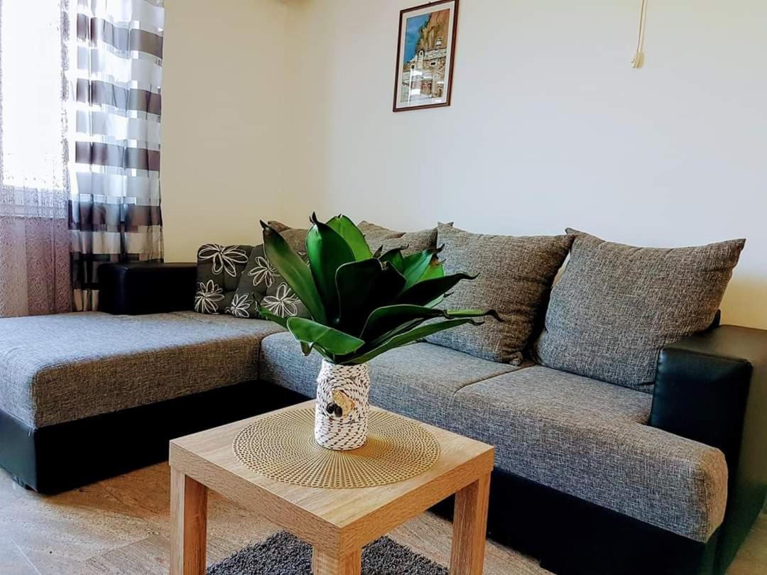 Apartment with Sea View photo 1