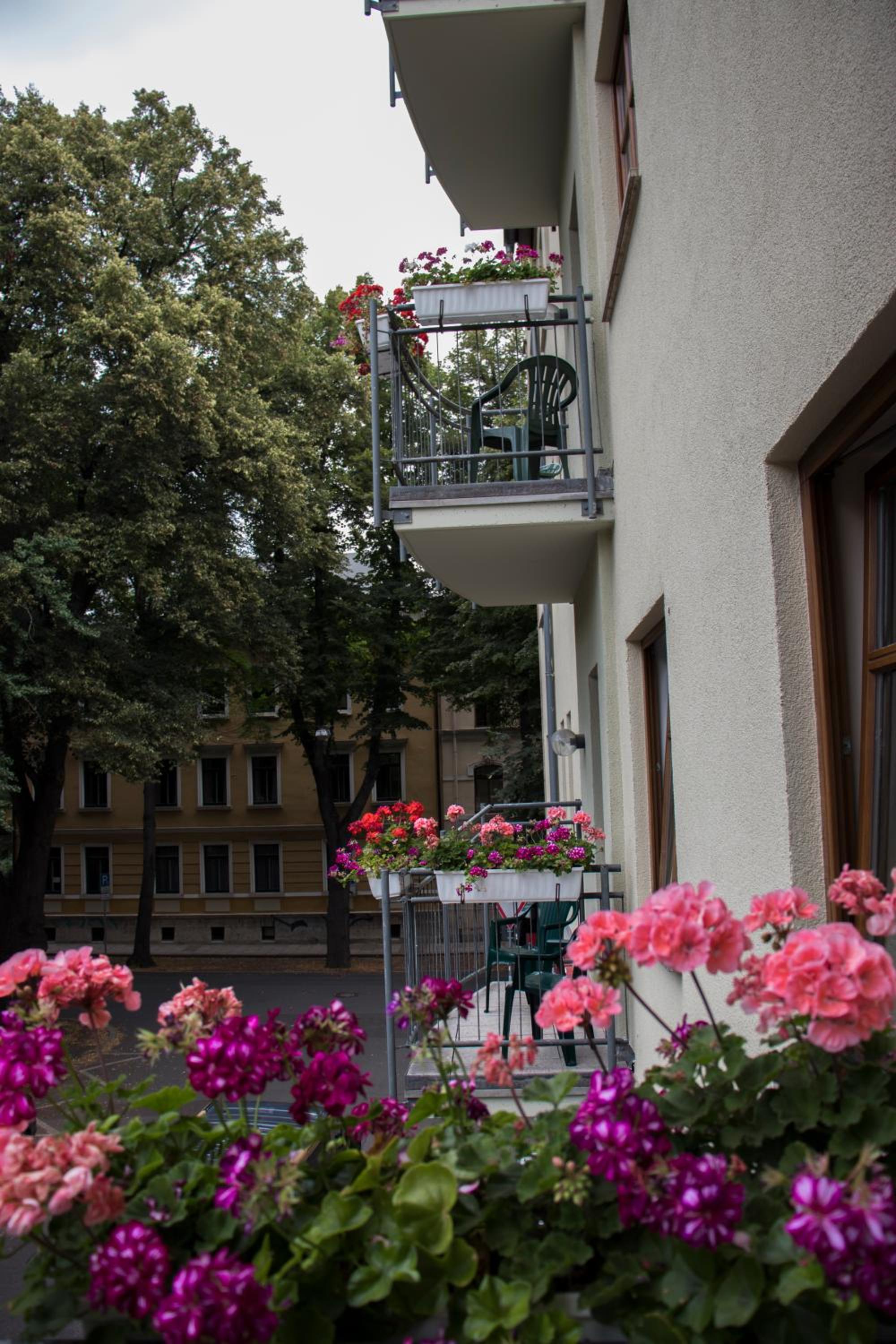 Double Room with Balcony photo 3