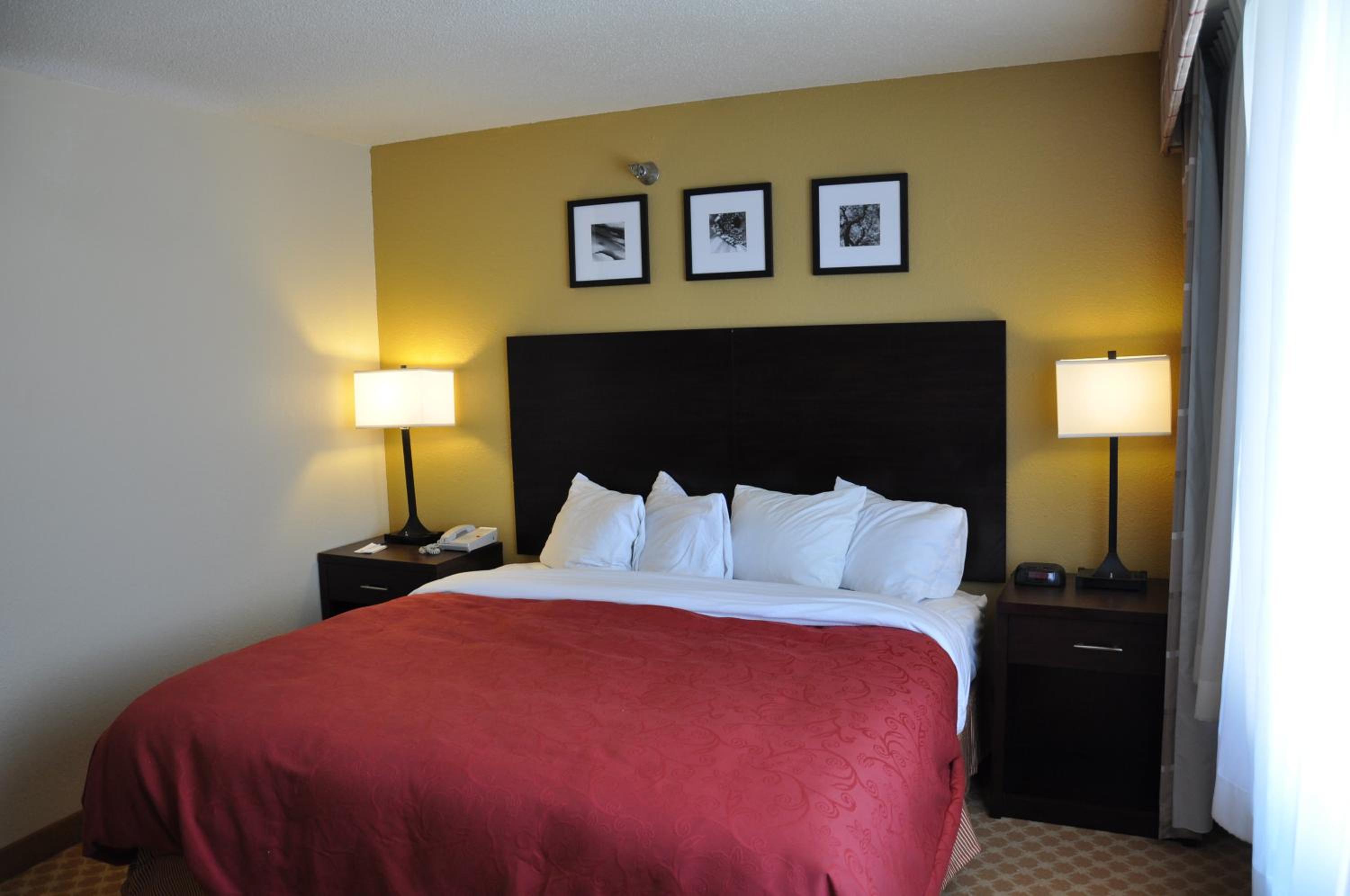 King Suite with Sofa Bed - Non-Smoking - Photo 2