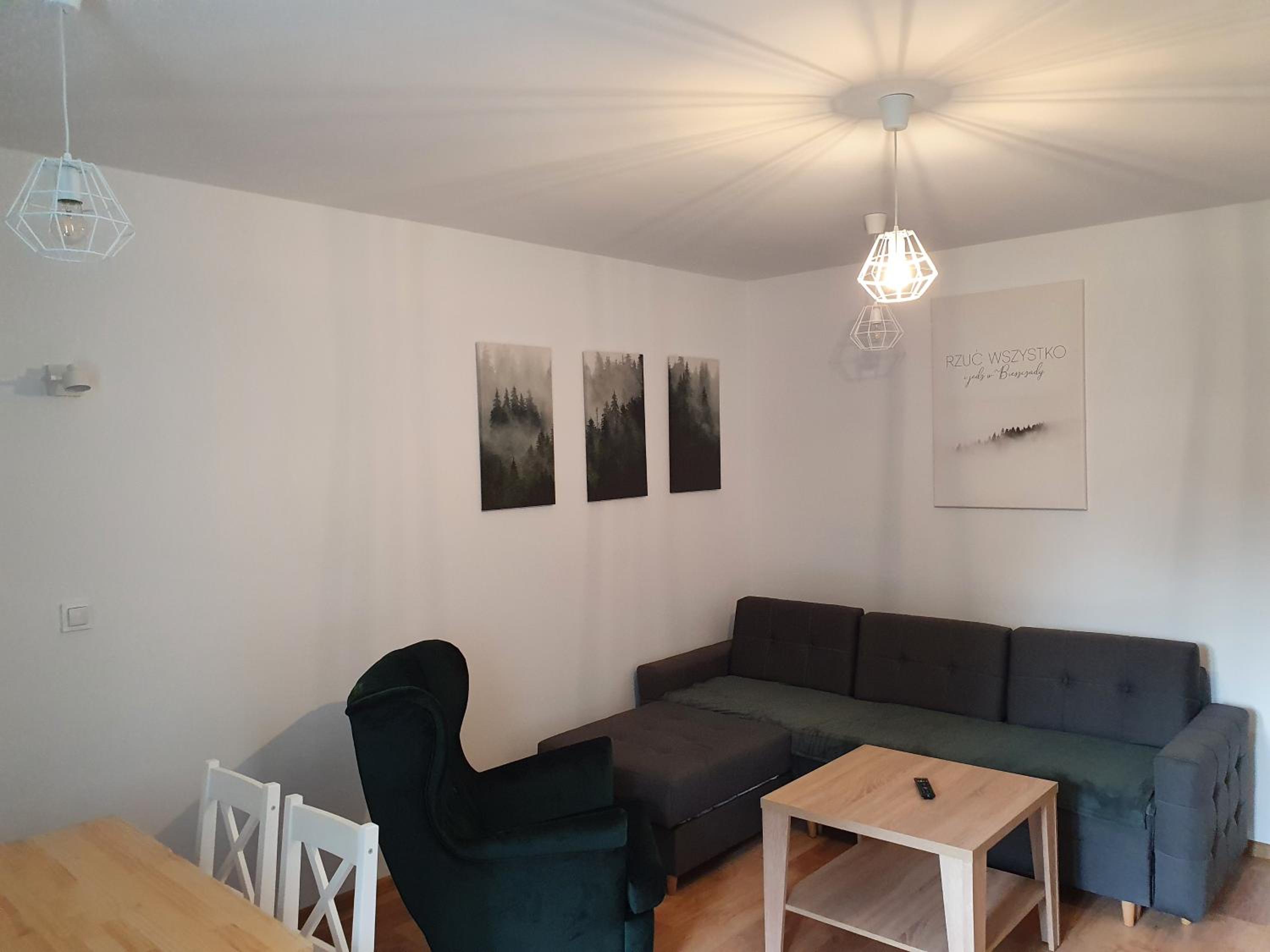 One-Bedroom Apartment - Photo 4