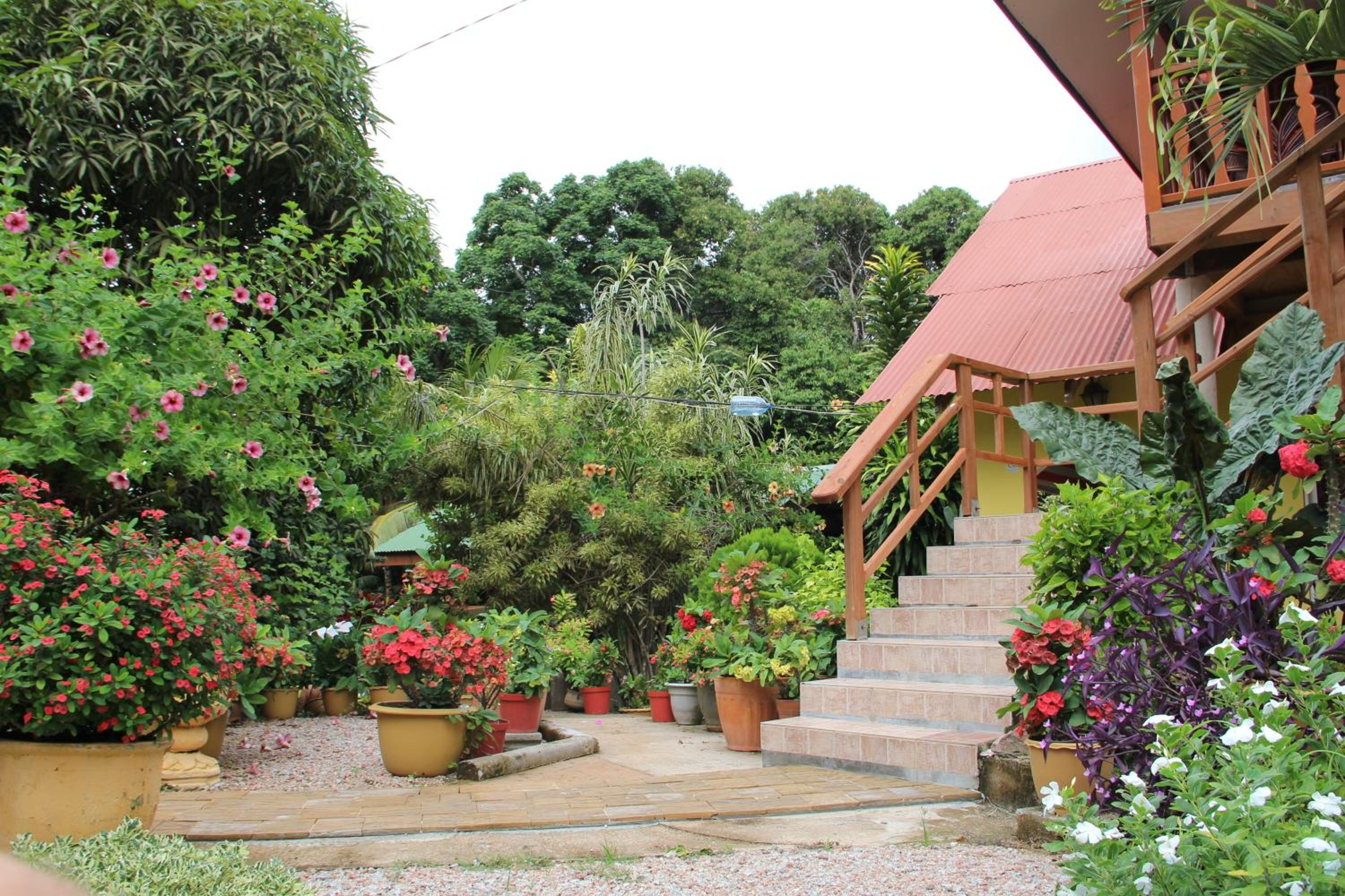 Double Room with Balcony photo 2
