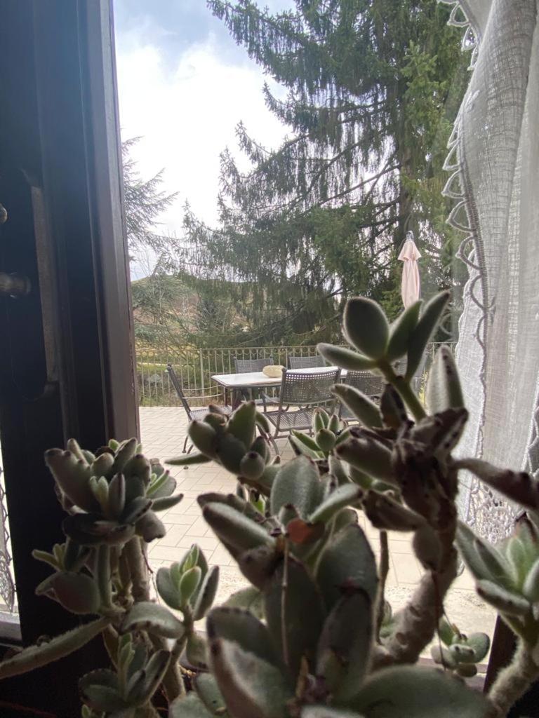 Apartment with Terrace photo 2