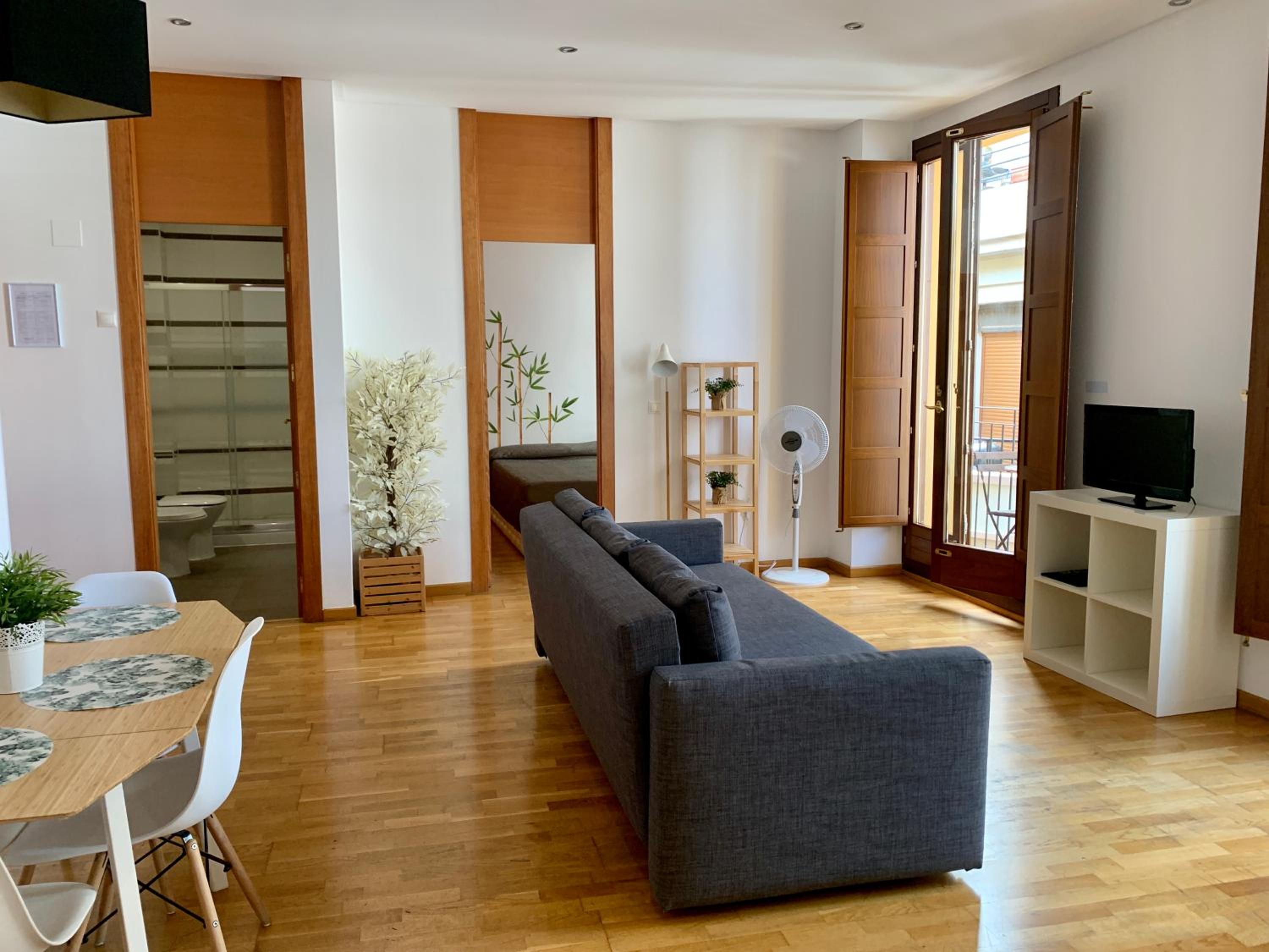 Apartamento de una habitación