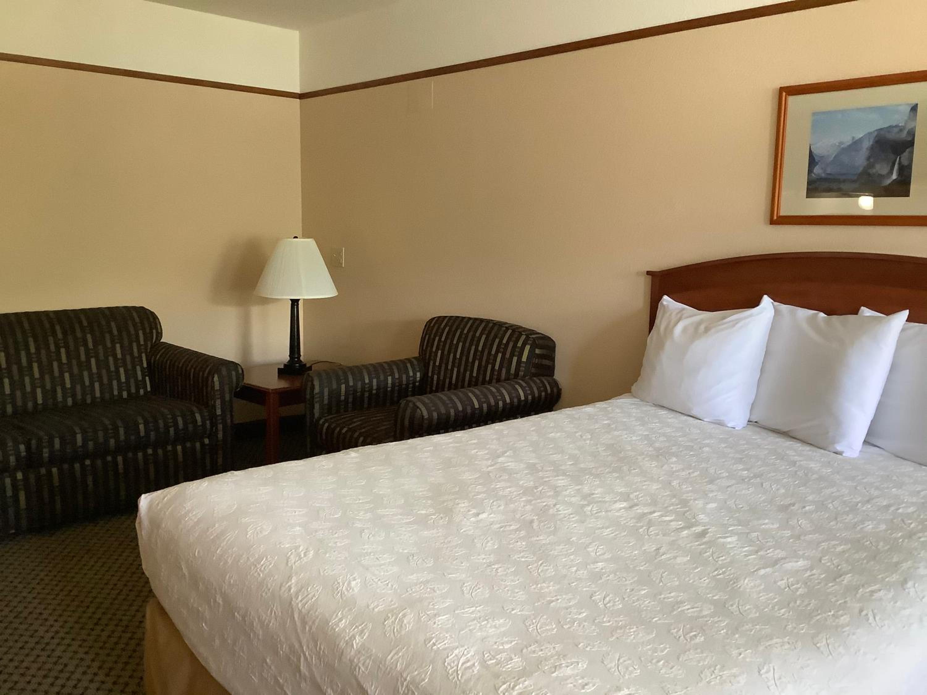 Family Suite - Photo 1
