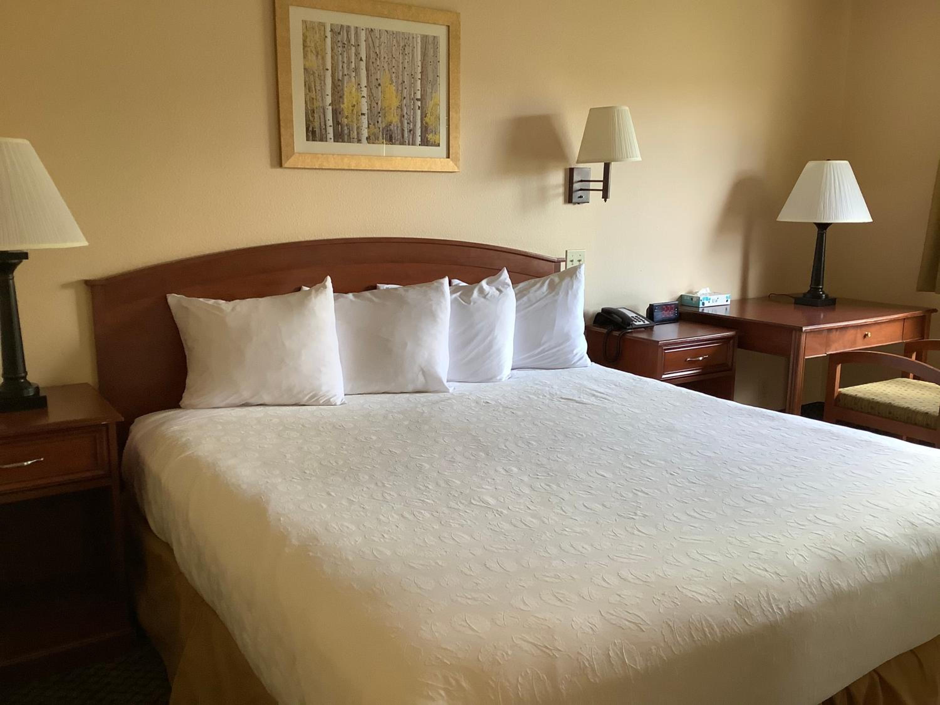 Standard King Room - Photo 2