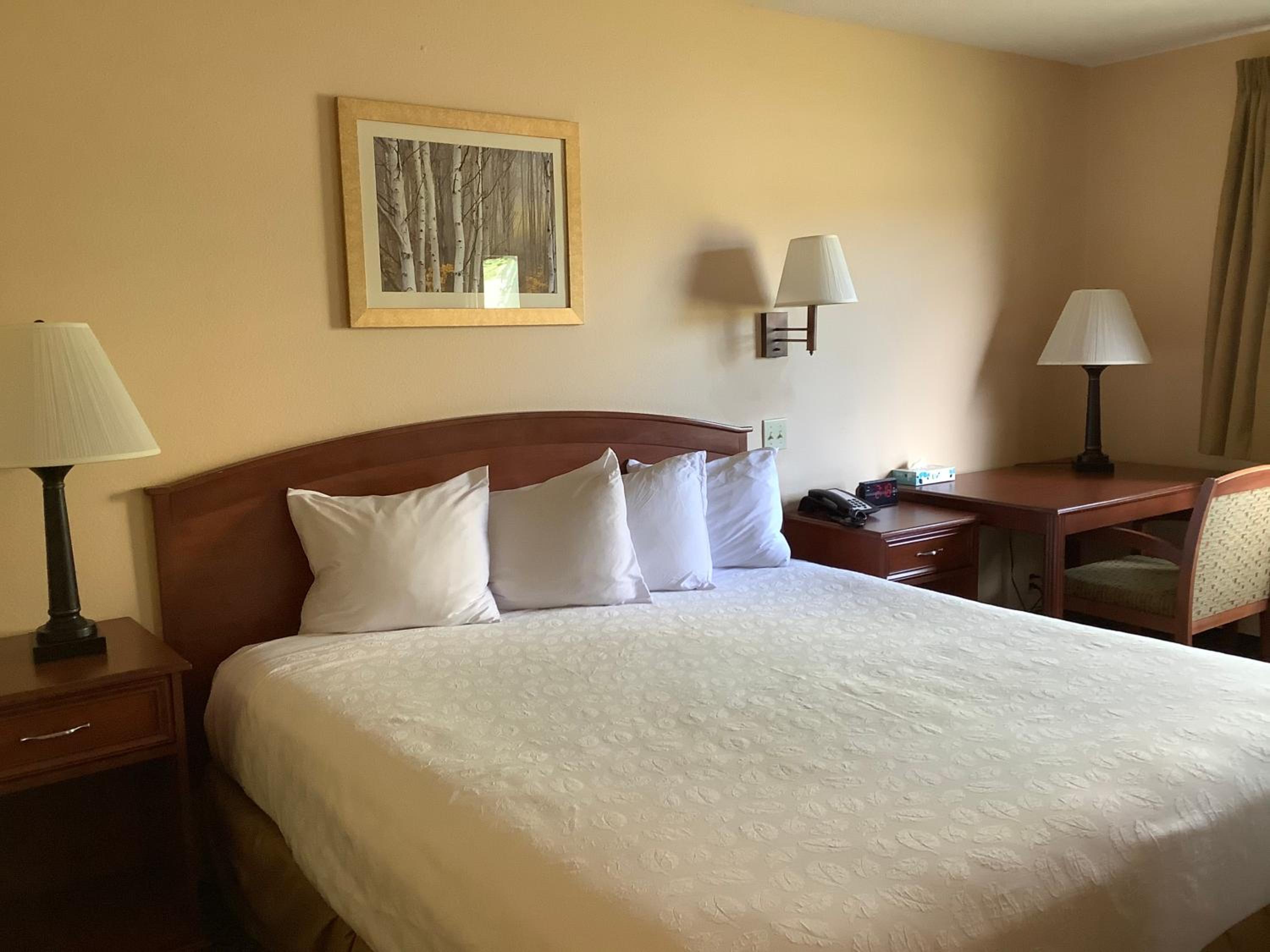 Standard King Room - Photo 6