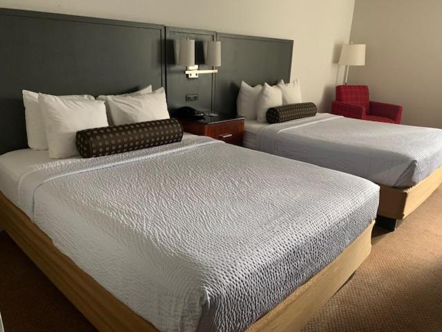 Queen Room with Two Queen Beds - Non-Smoking - Photo 7