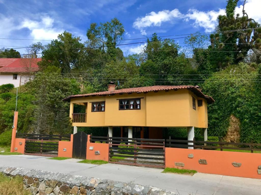 Family Bungalow photo 2