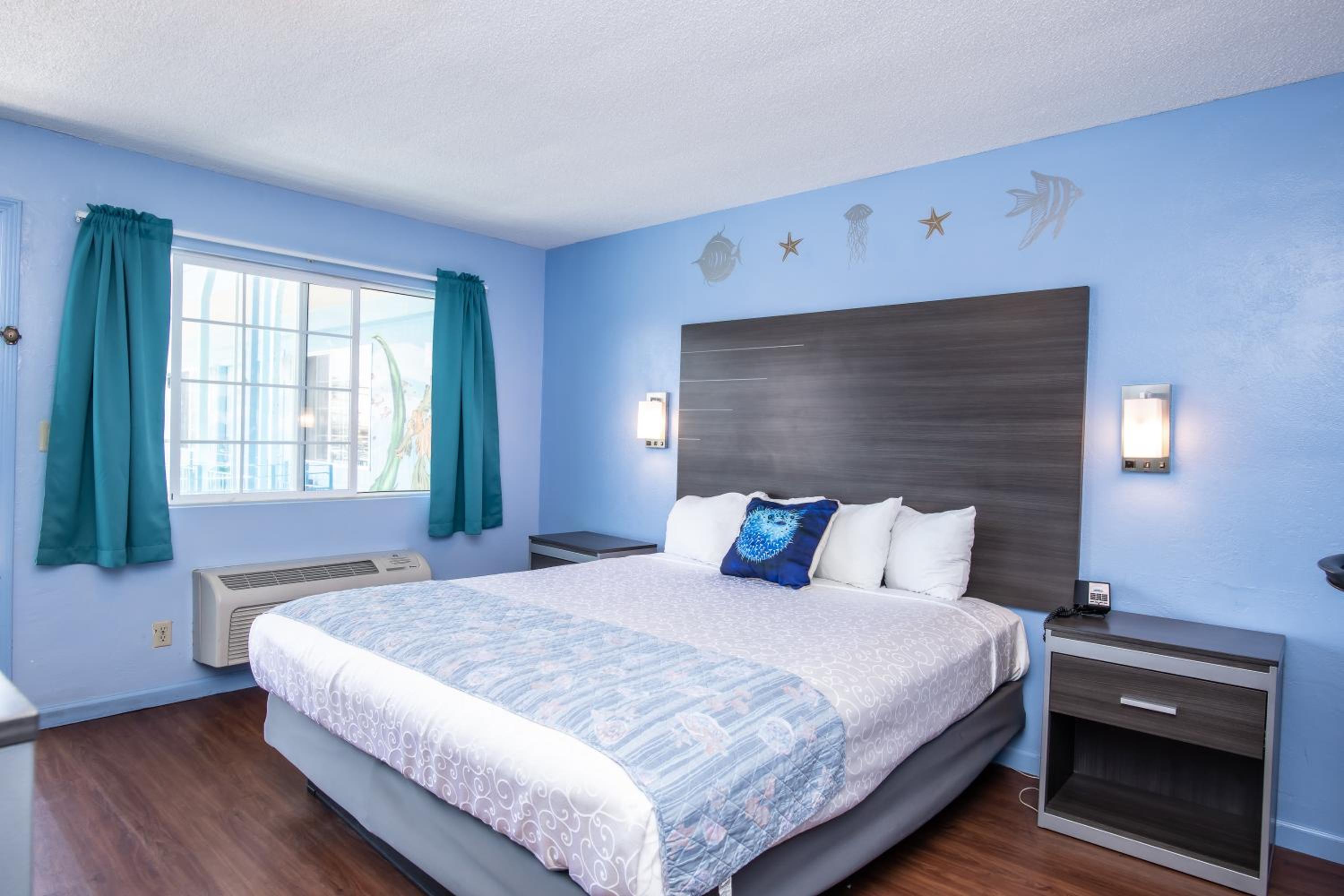 King Room - Photo 4