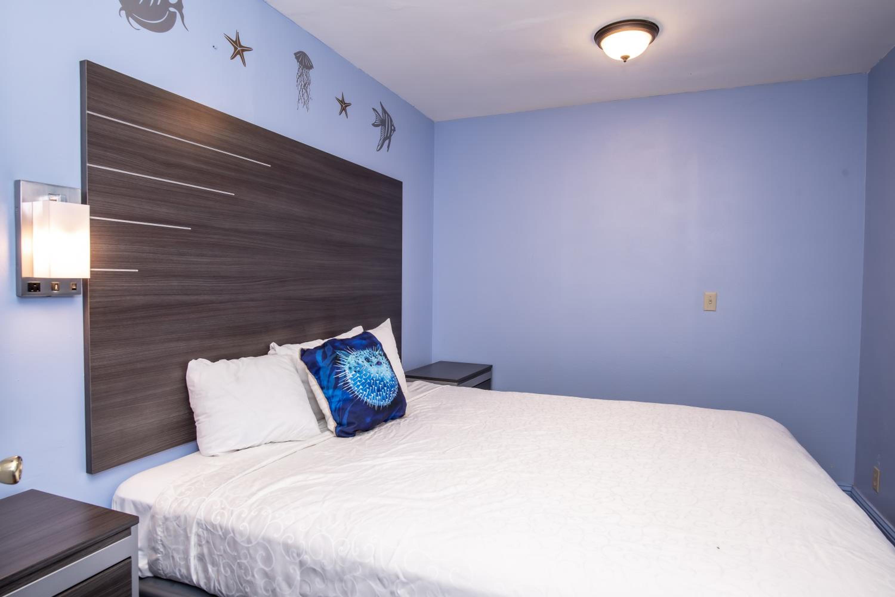 Standard Triple Room - Photo 2