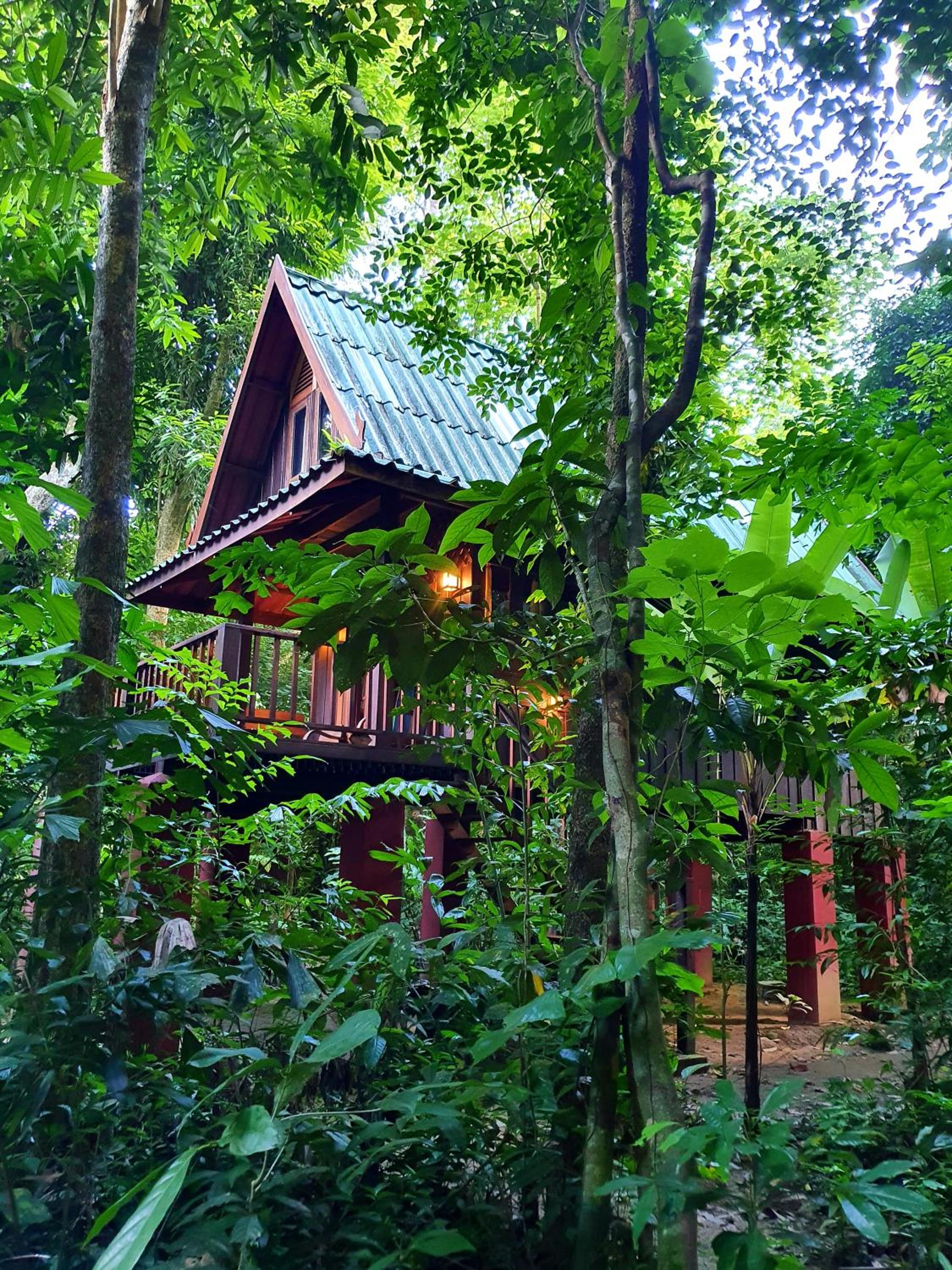Treehouse Quad photo 3