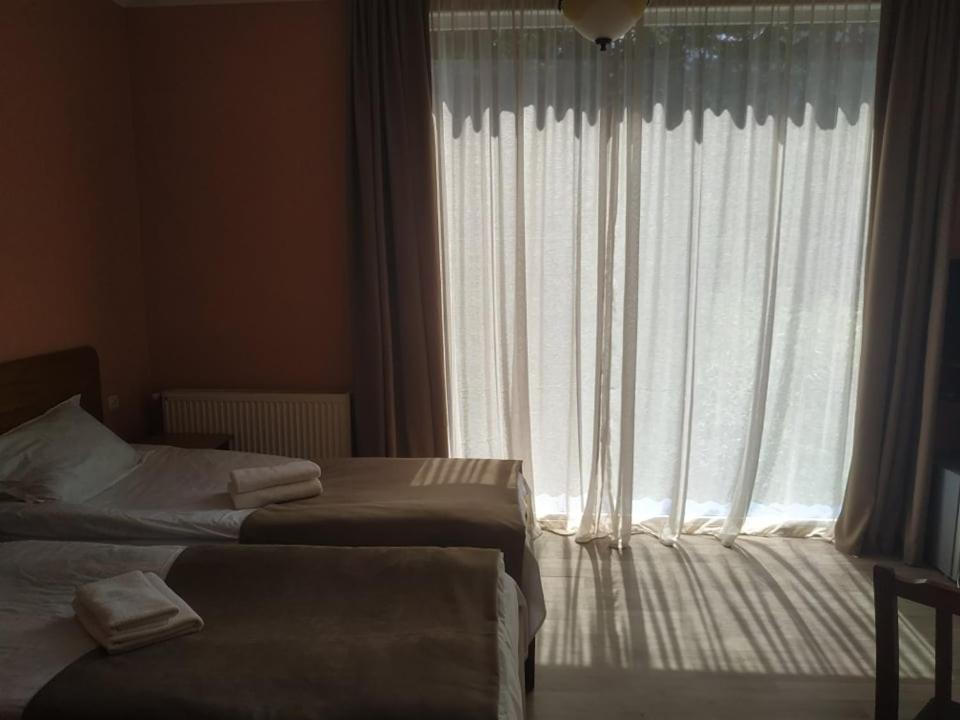 Double or Twin Room with View photo 2