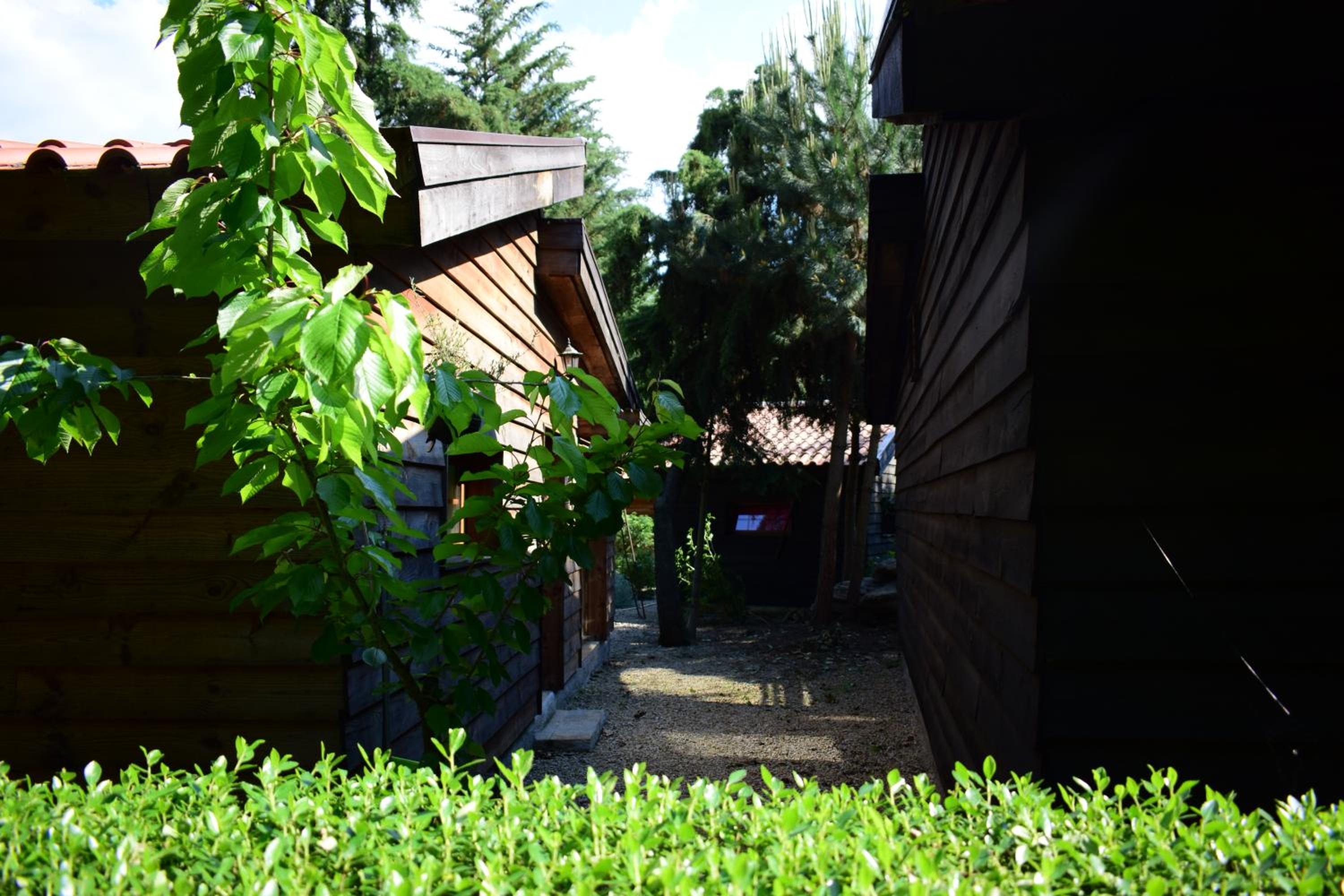 Bungalow - Photo 8