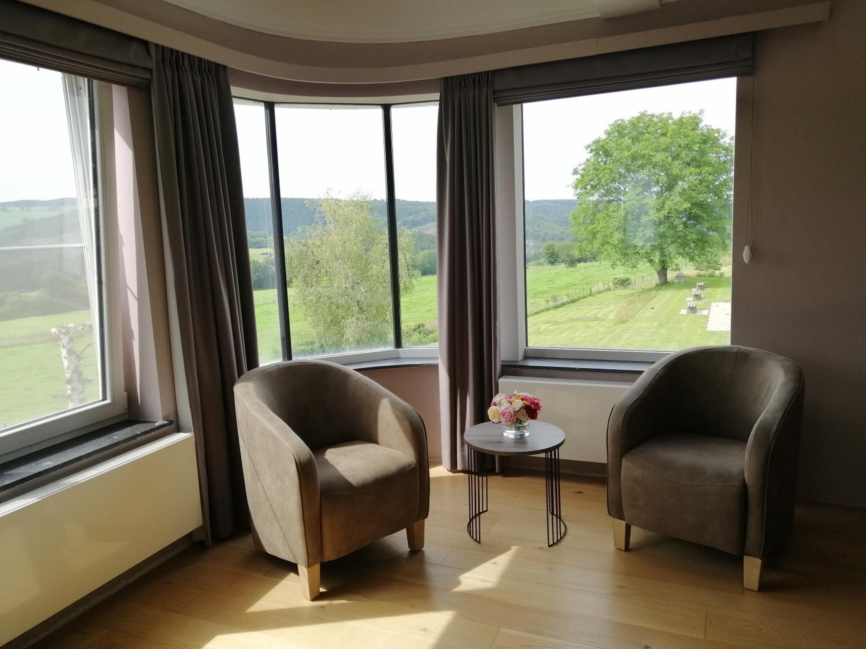 Deluxe Double or Twin Room with Mountain View photo 3