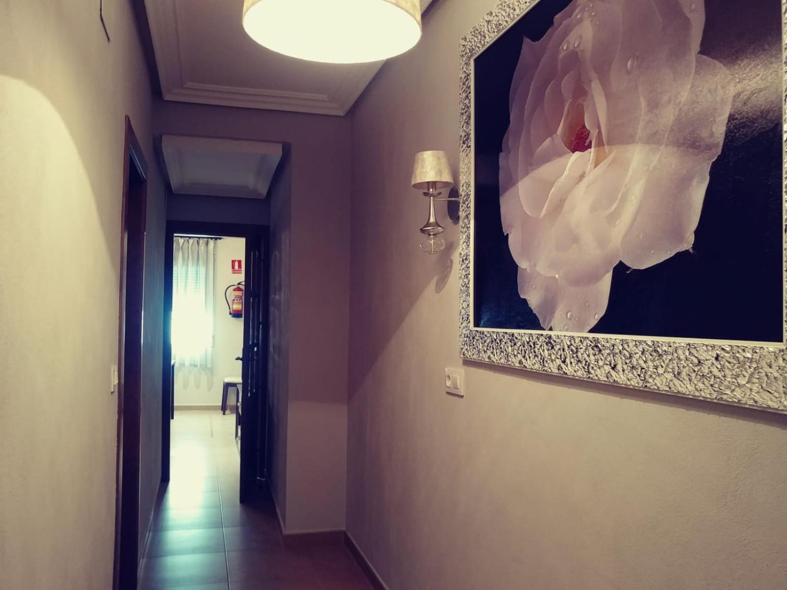 Apartment photo 3
