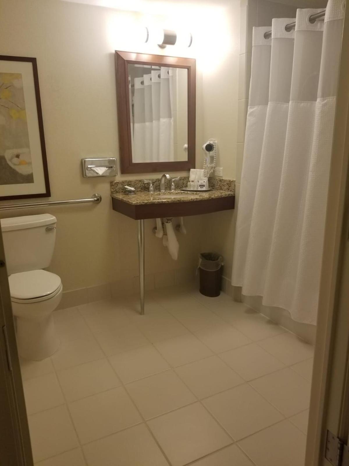 Deluxe King Room ADA