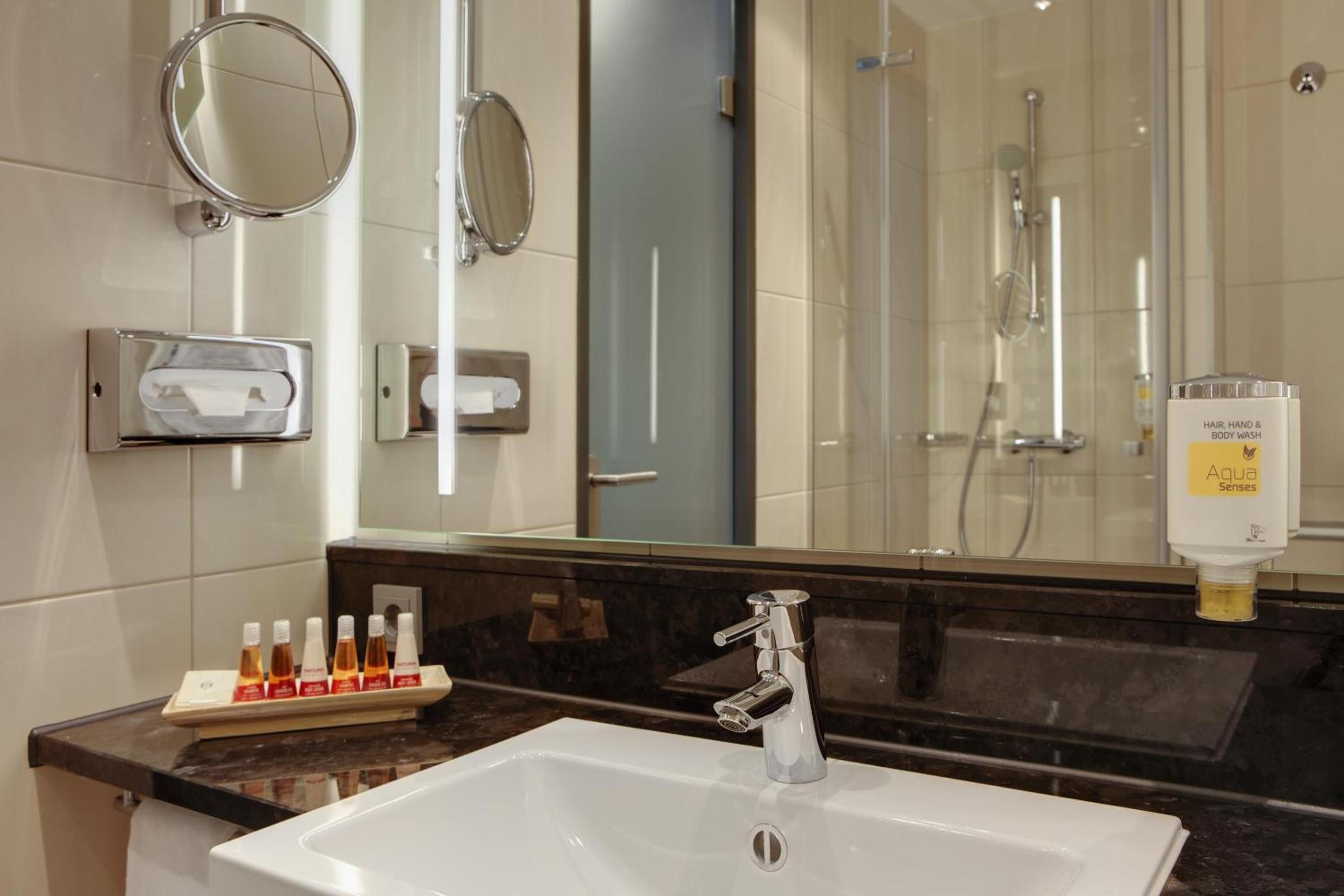 Business Double or Twin Room - Photo 6