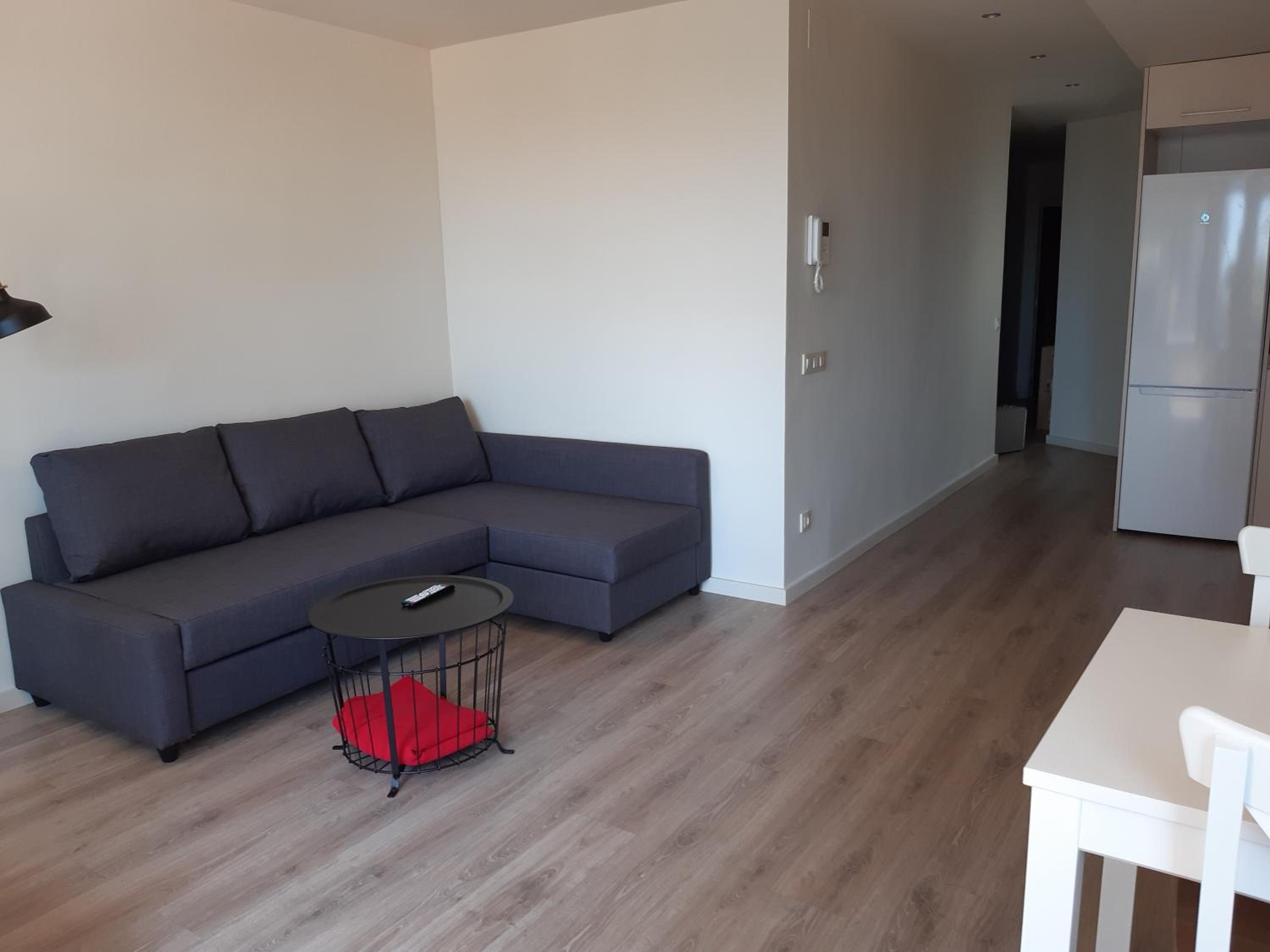 Apartment with Terrace photo 2