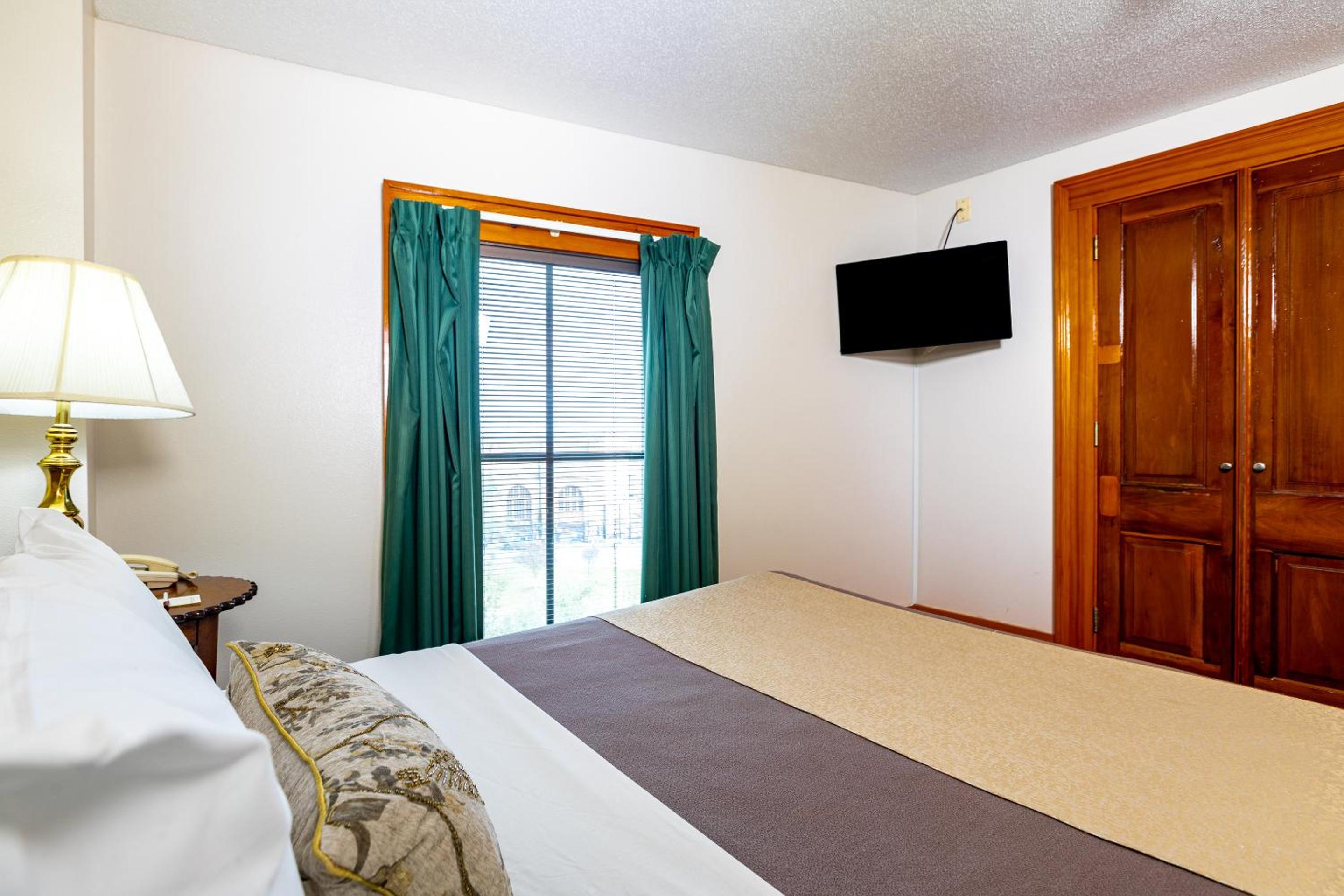 Suite - Photo 1