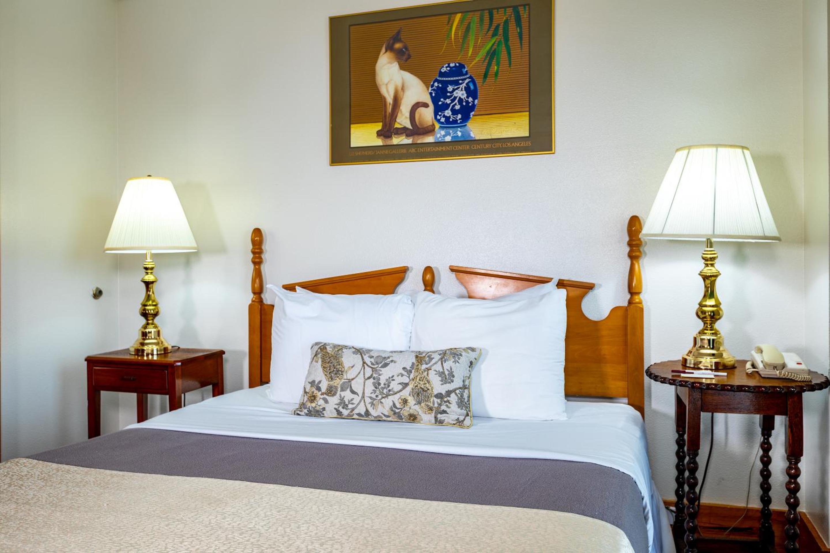 Standard Suite - Photo 5